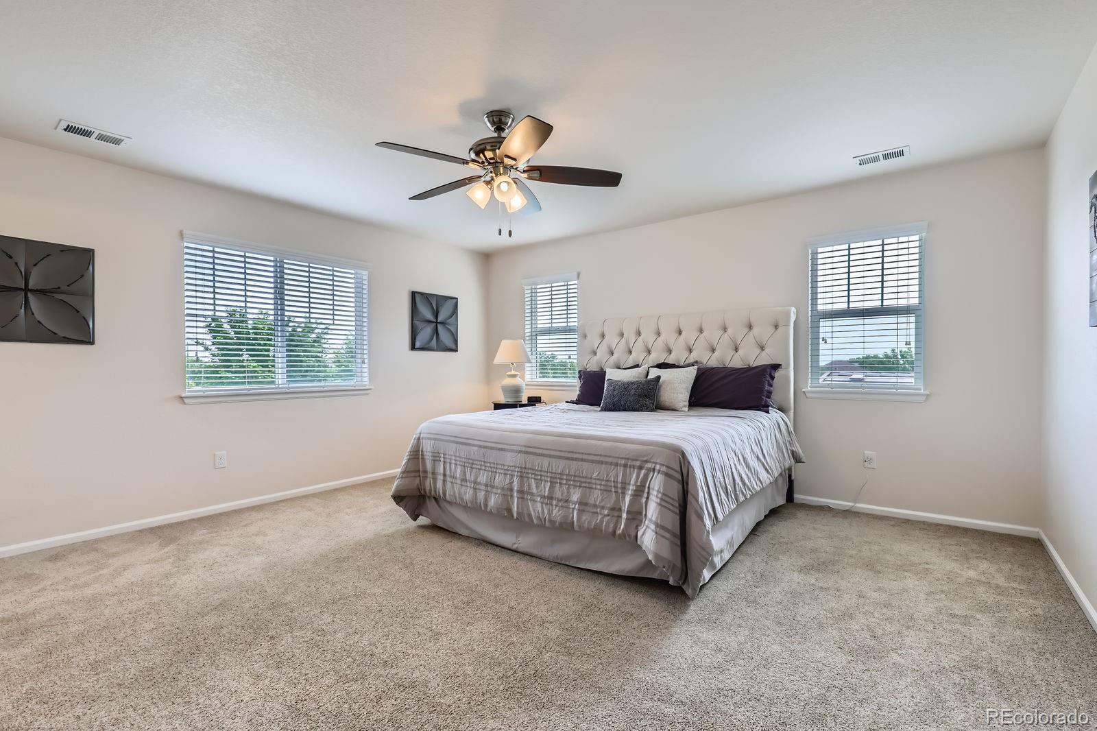 MLS Image #9 for 12578  hudson court,thornton, Colorado