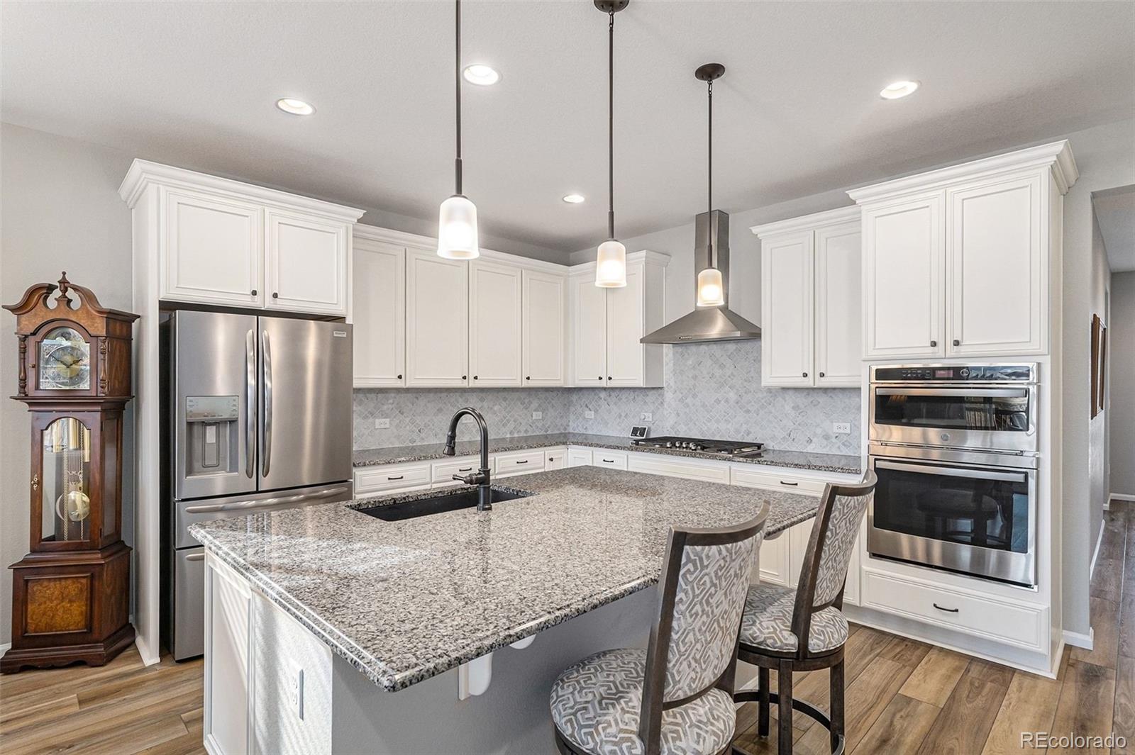 MLS Image #1 for 9055  swan river street,littleton, Colorado