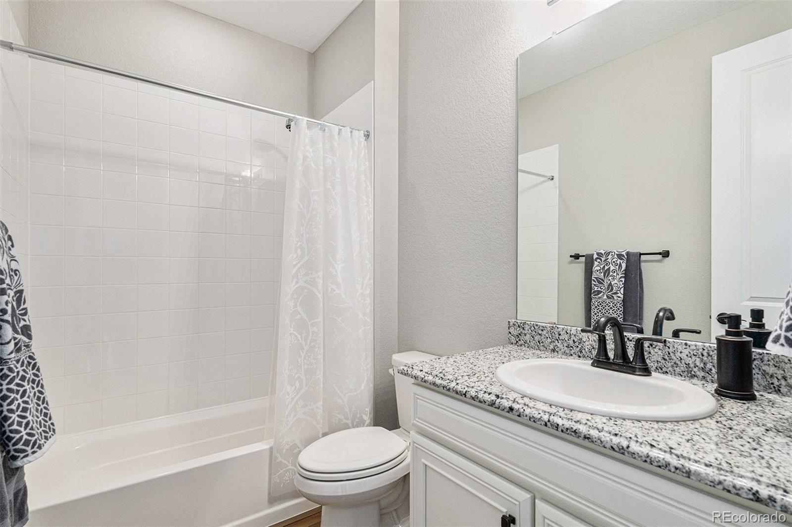 MLS Image #10 for 9055  swan river street,littleton, Colorado