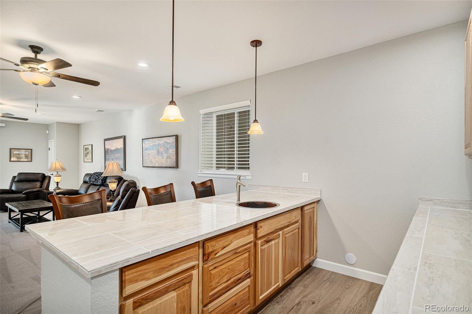 MLS Image #14 for 9055  swan river street,littleton, Colorado