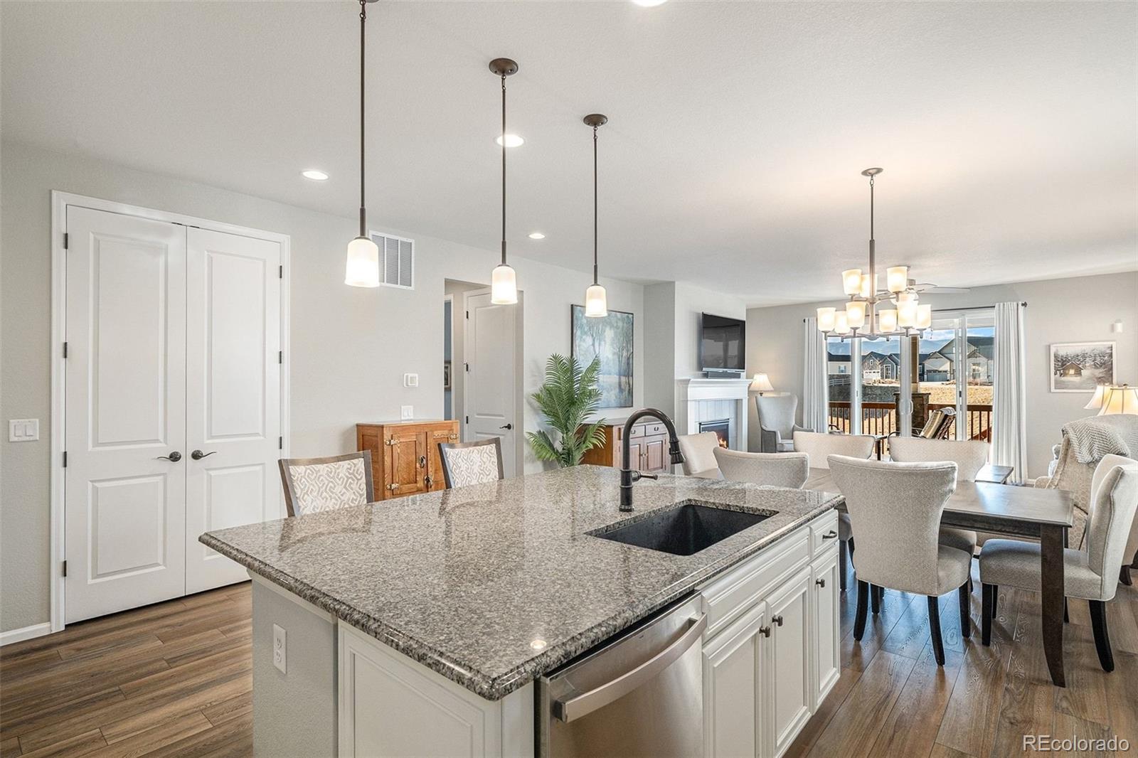MLS Image #4 for 9055  swan river street,littleton, Colorado