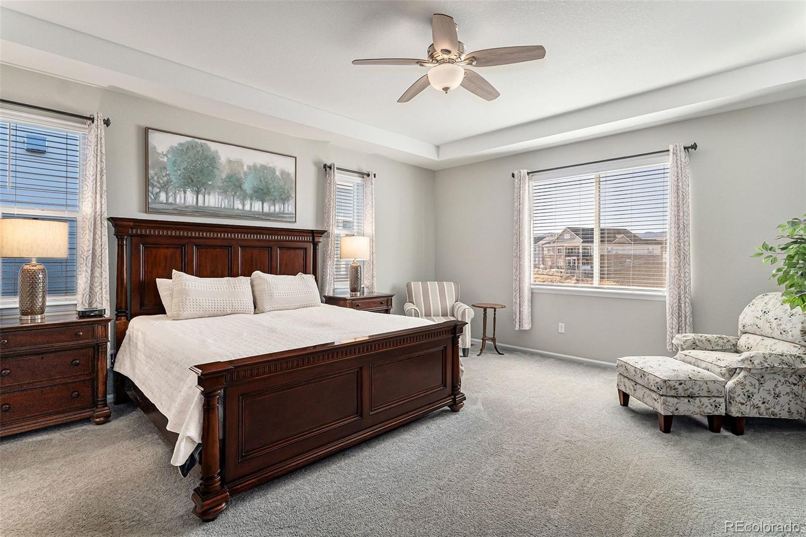 MLS Image #5 for 9055  swan river street,littleton, Colorado
