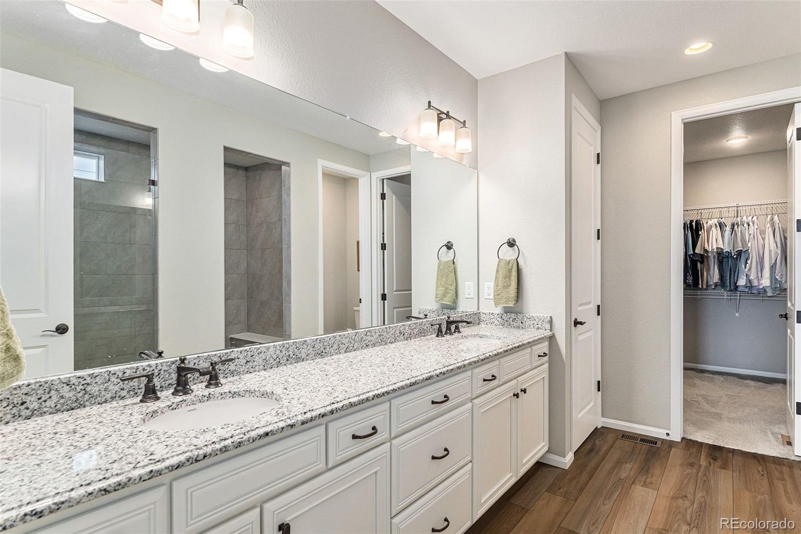 MLS Image #6 for 9055  swan river street,littleton, Colorado