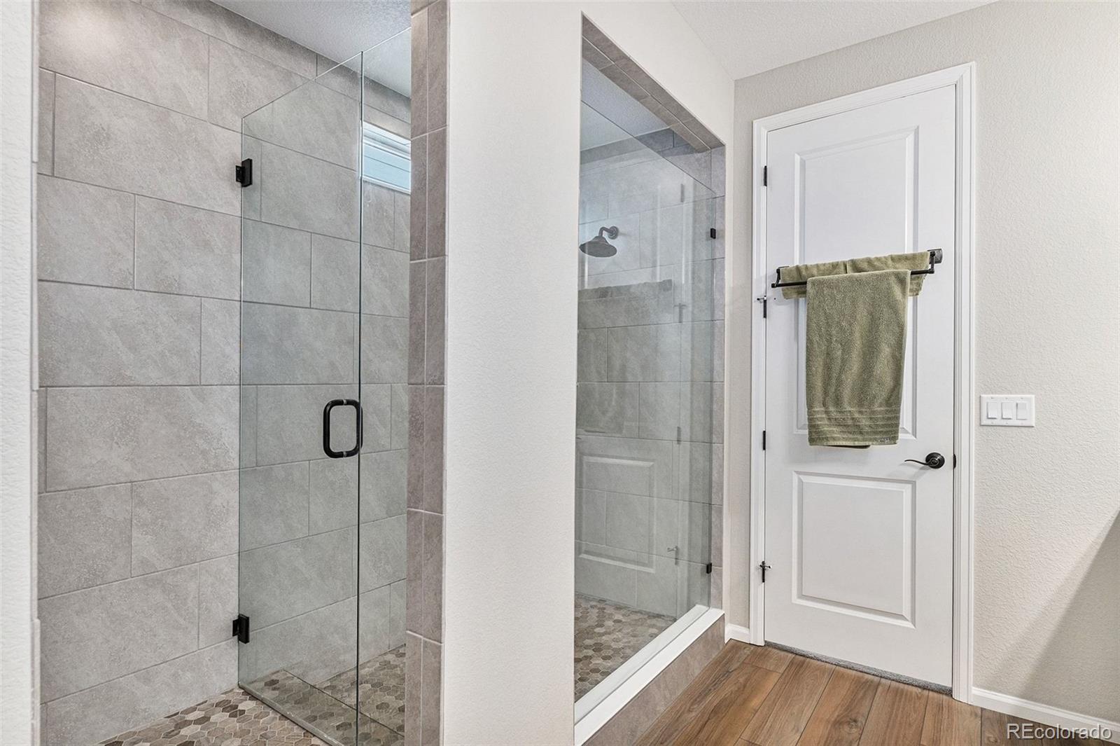 MLS Image #7 for 9055  swan river street,littleton, Colorado