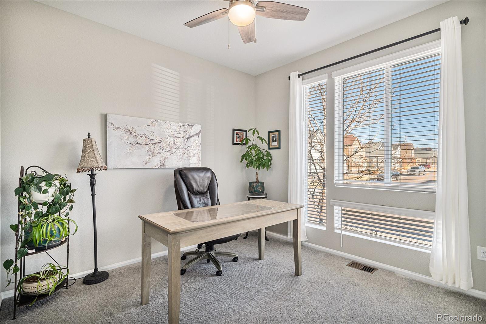 MLS Image #8 for 9055  swan river street,littleton, Colorado