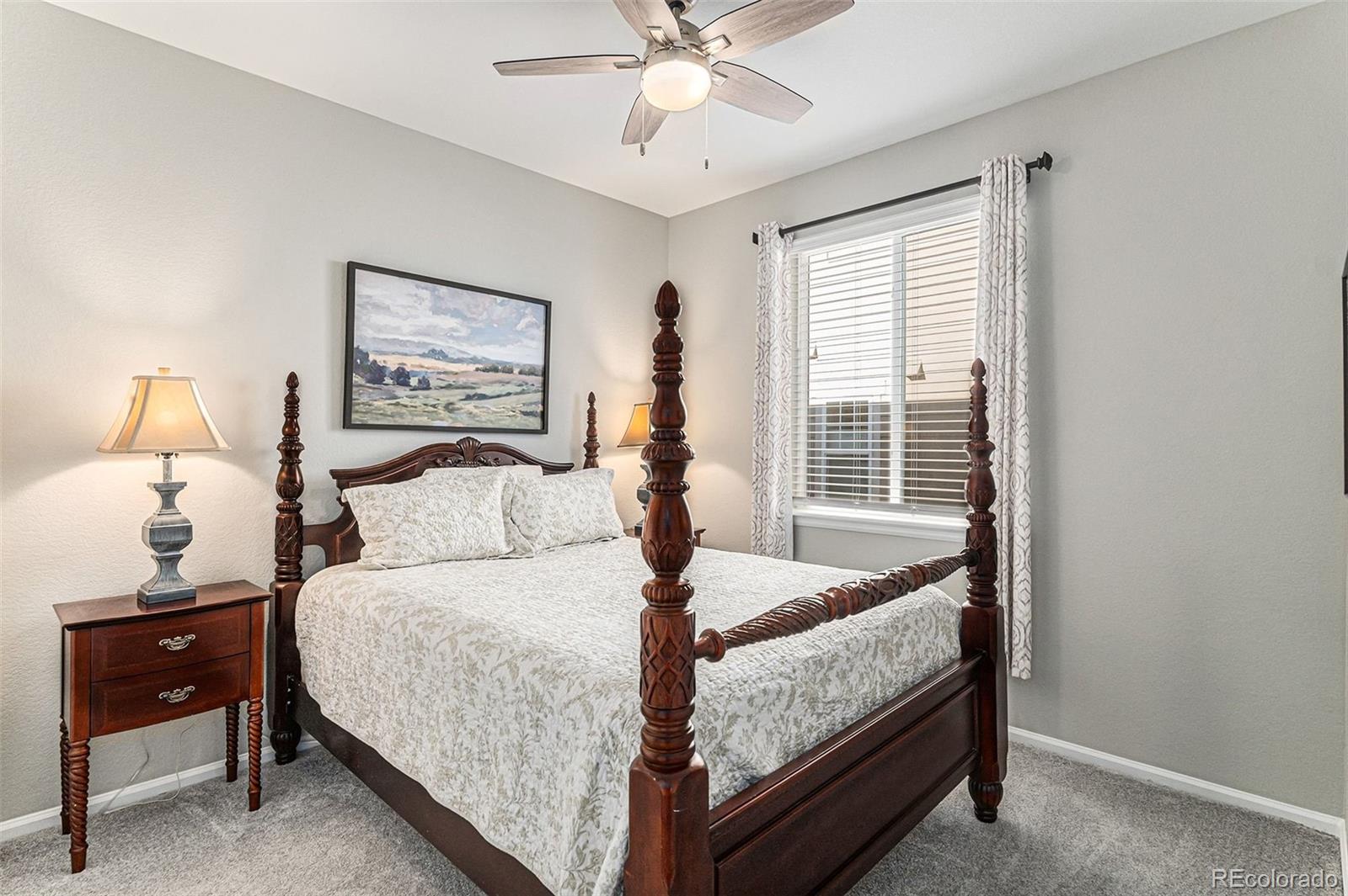 MLS Image #9 for 9055  swan river street,littleton, Colorado