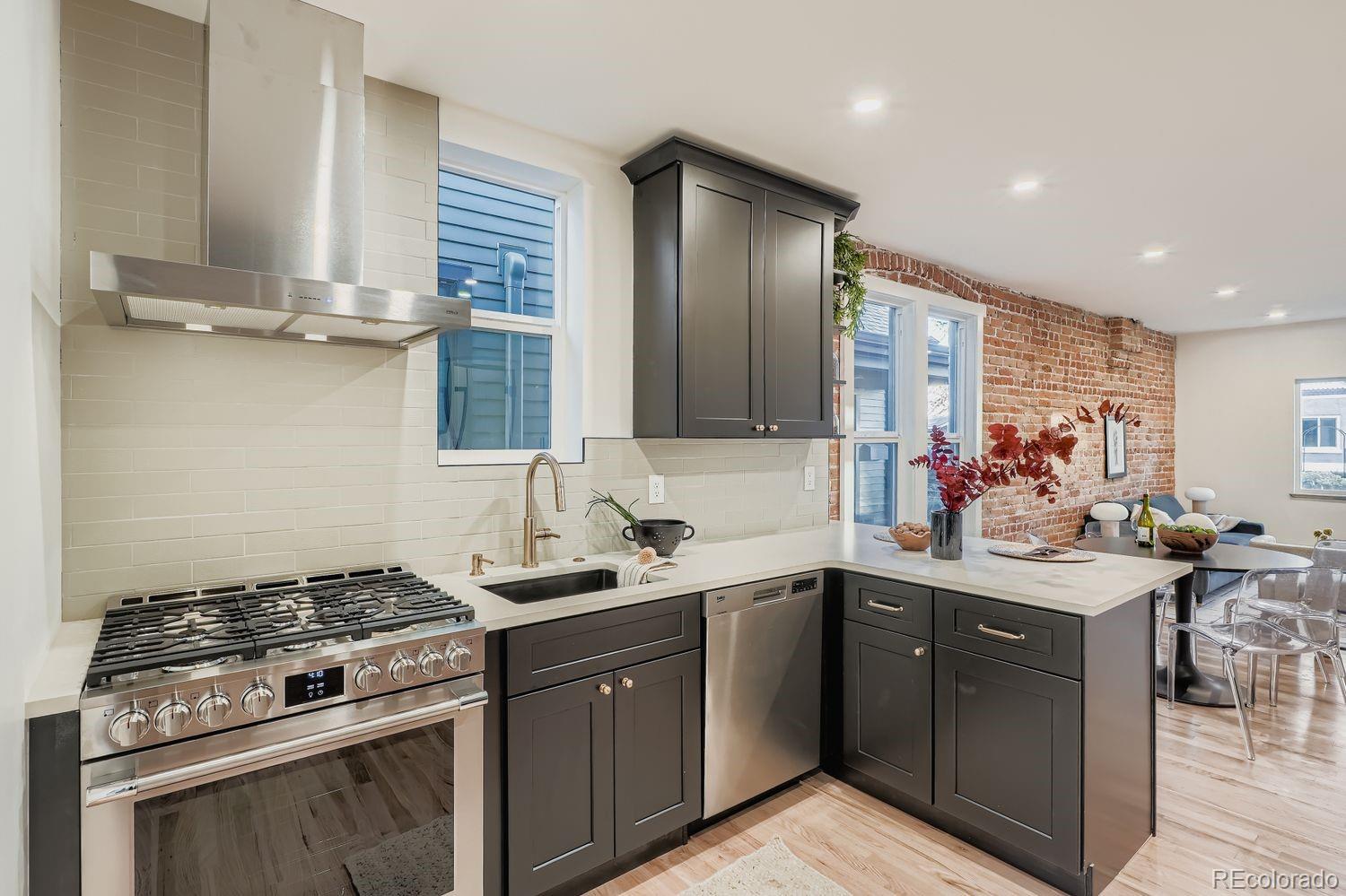 MLS Image #9 for 233  inca street,denver, Colorado
