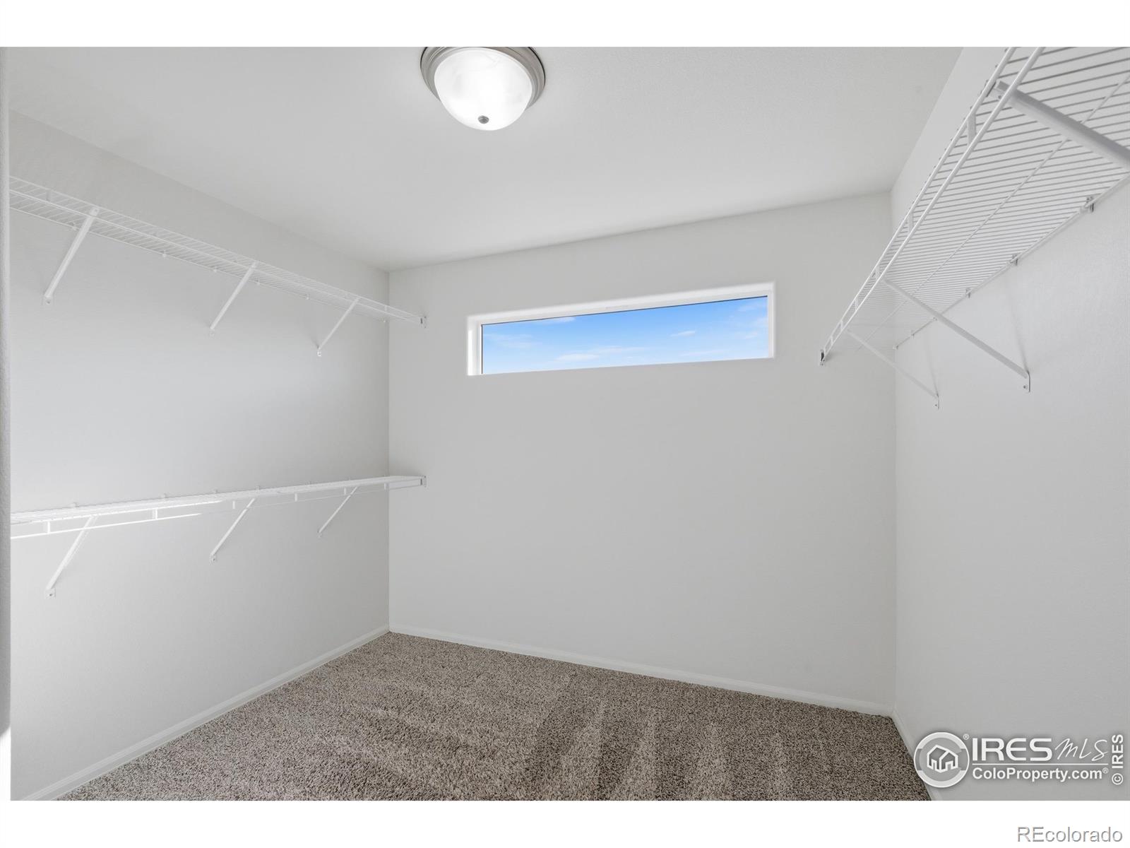 MLS Image #19 for 4524  mountain sky street,johnstown, Colorado