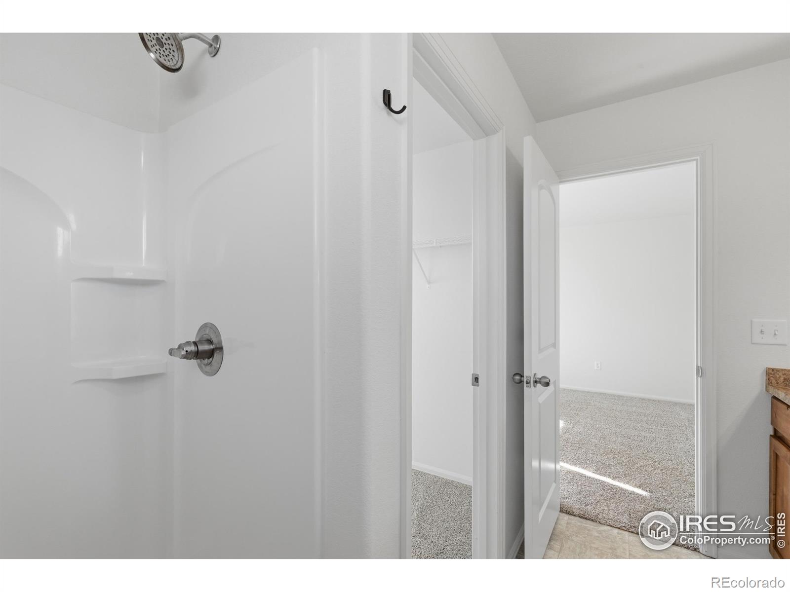 MLS Image #21 for 4524  mountain sky street,johnstown, Colorado