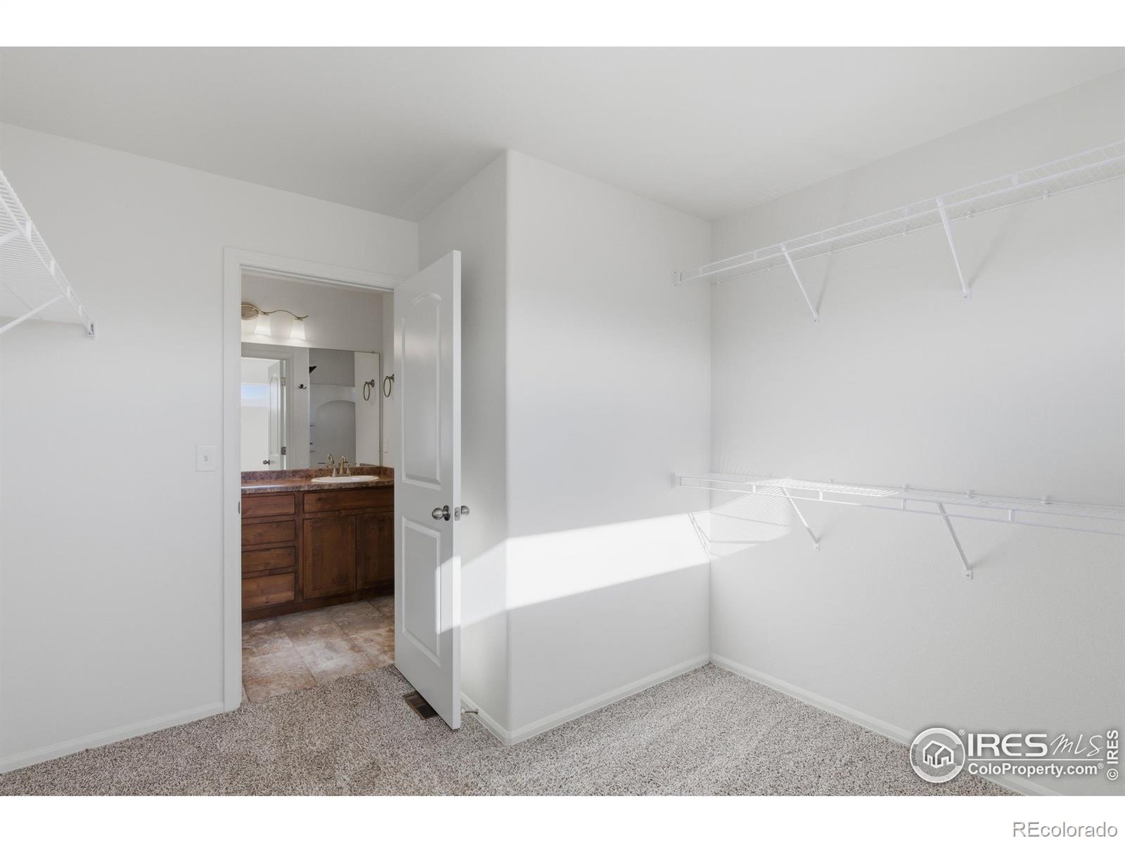 MLS Image #28 for 4524  mountain sky street,johnstown, Colorado