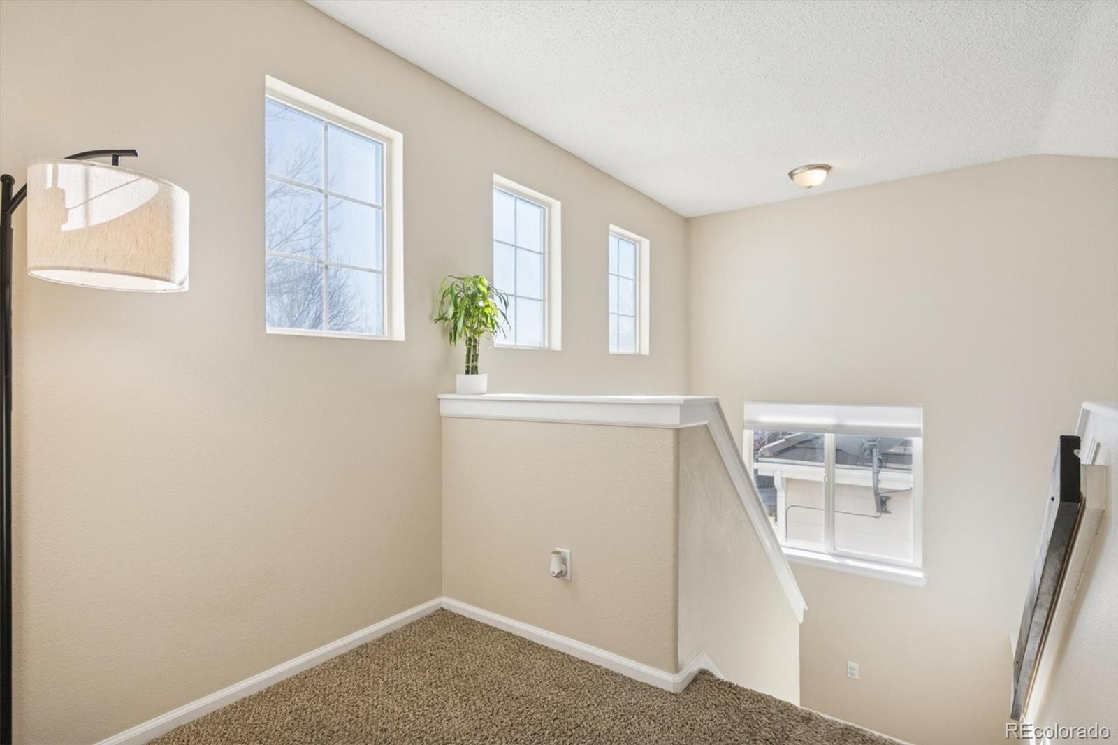 MLS Image #9 for 12431 s hollow creek court,parker, Colorado