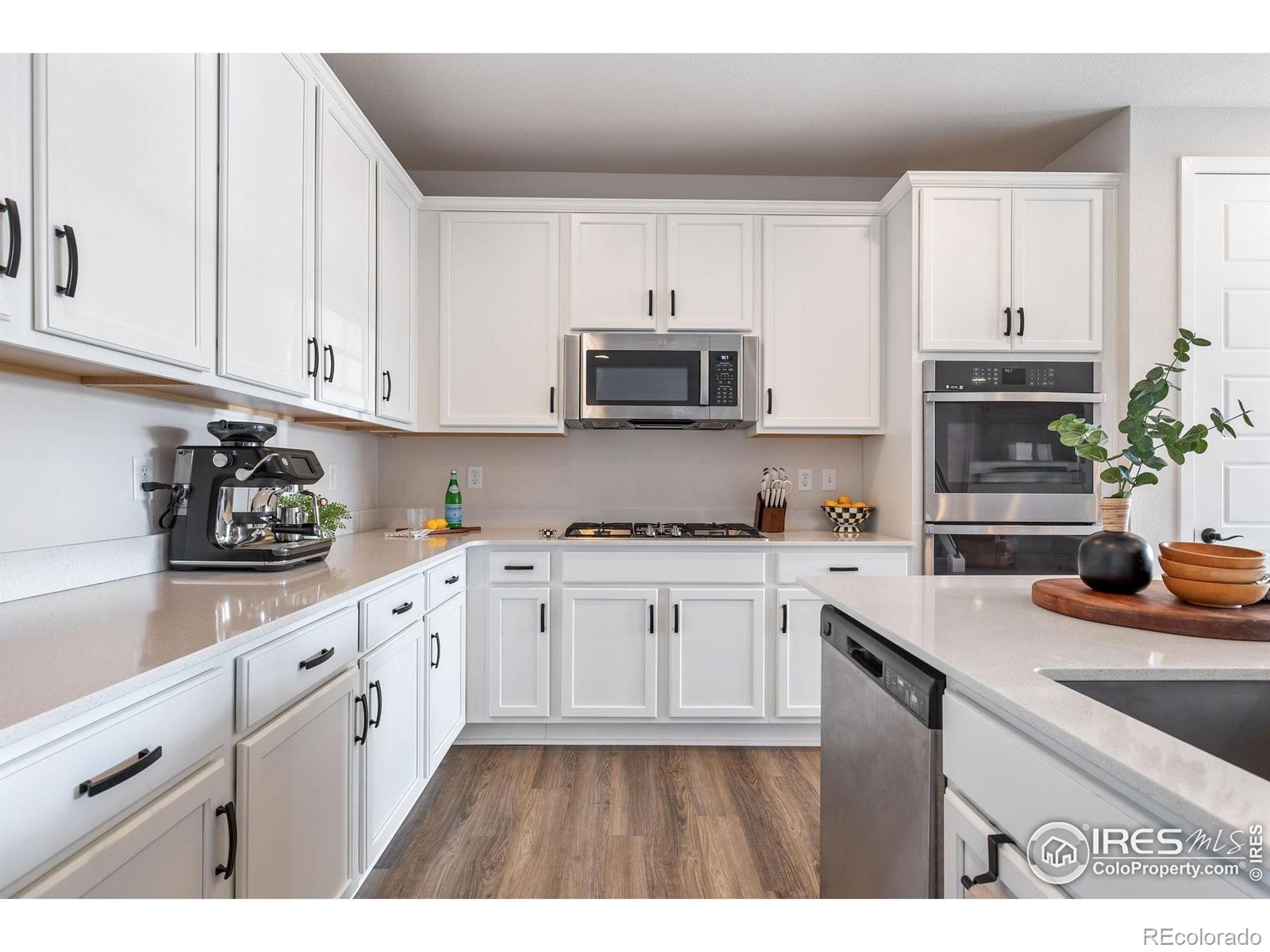 MLS Image #11 for 8421  butte creek street,littleton, Colorado
