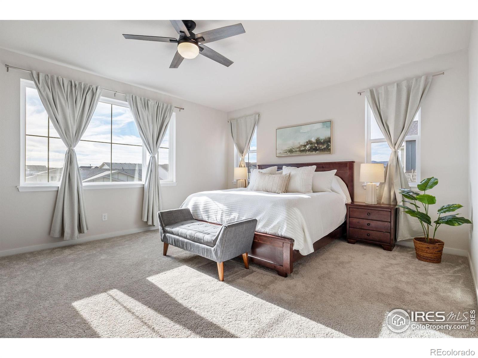 MLS Image #19 for 8421  butte creek street,littleton, Colorado