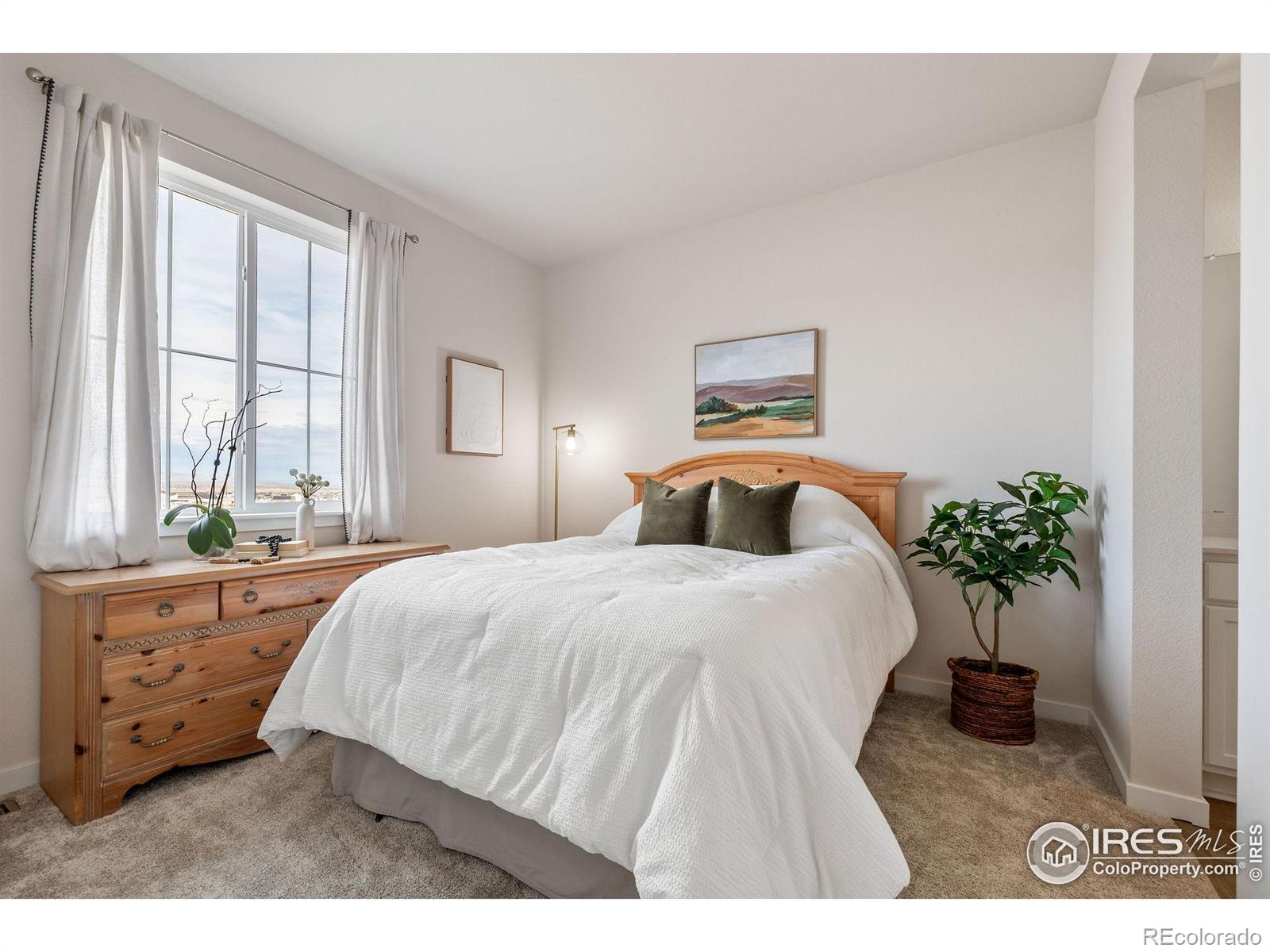 MLS Image #25 for 8421  butte creek street,littleton, Colorado