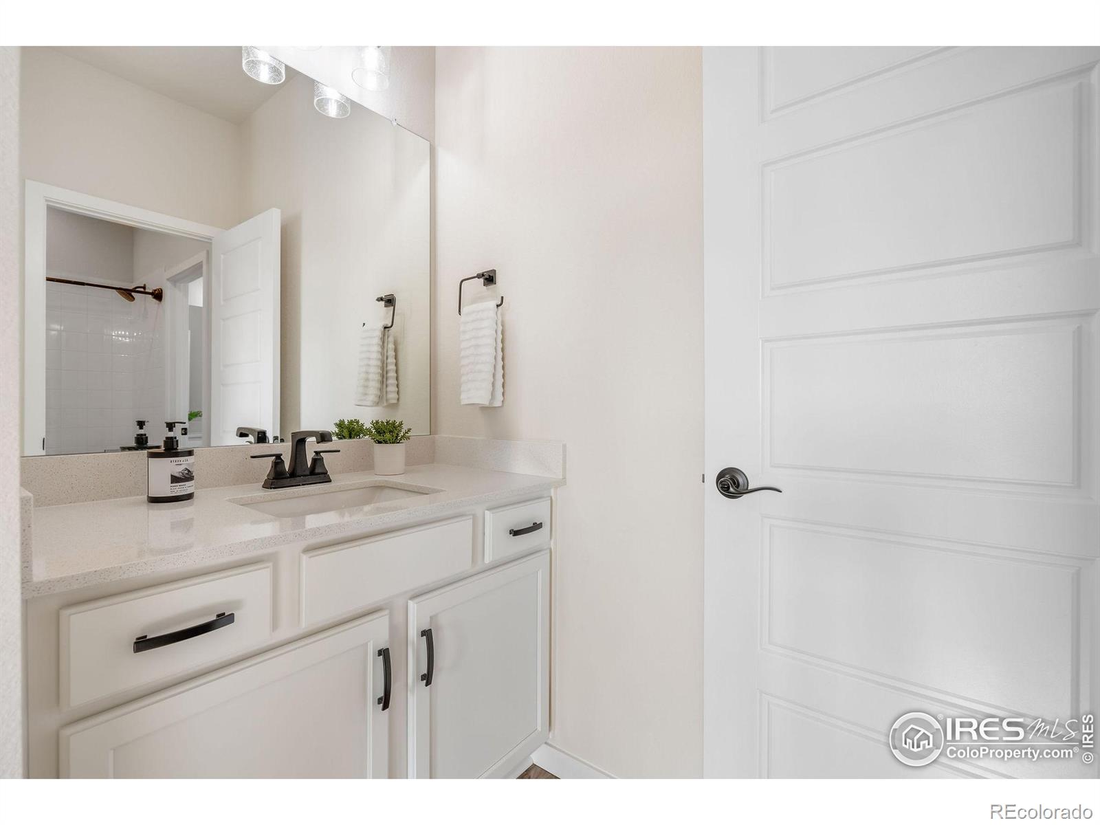 MLS Image #27 for 8421  butte creek street,littleton, Colorado