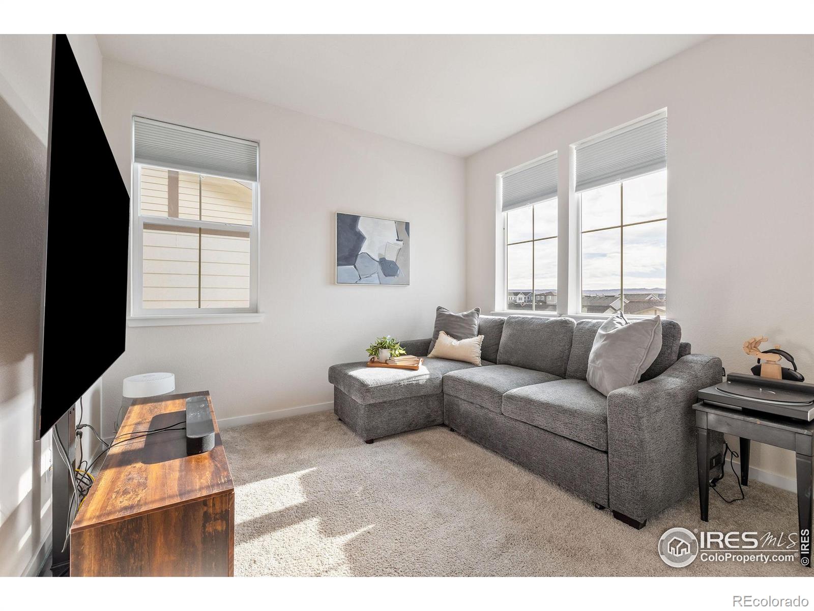 MLS Image #28 for 8421  butte creek street,littleton, Colorado