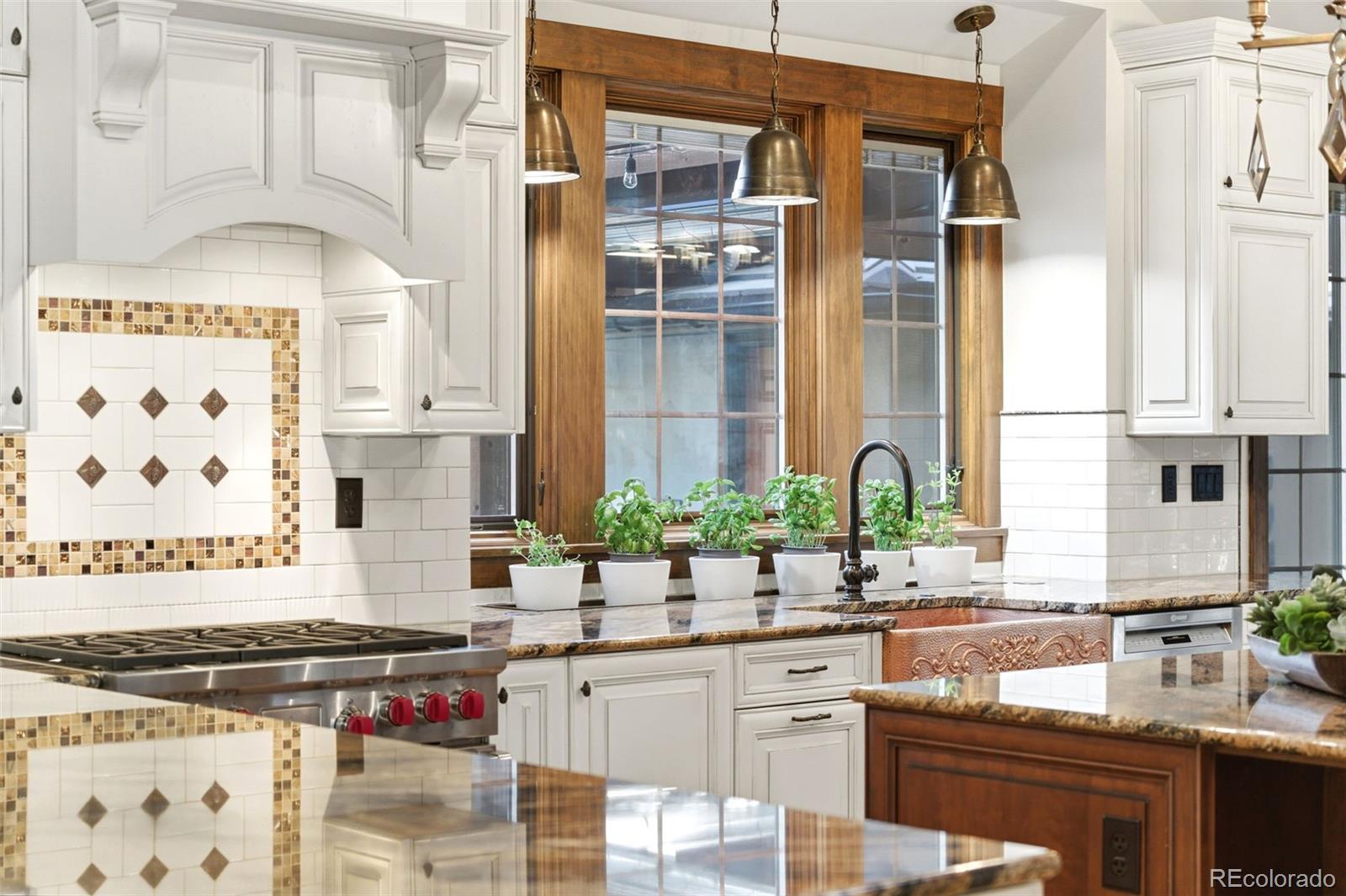 MLS Image #14 for 2305  cherryville road,greenwood village, Colorado