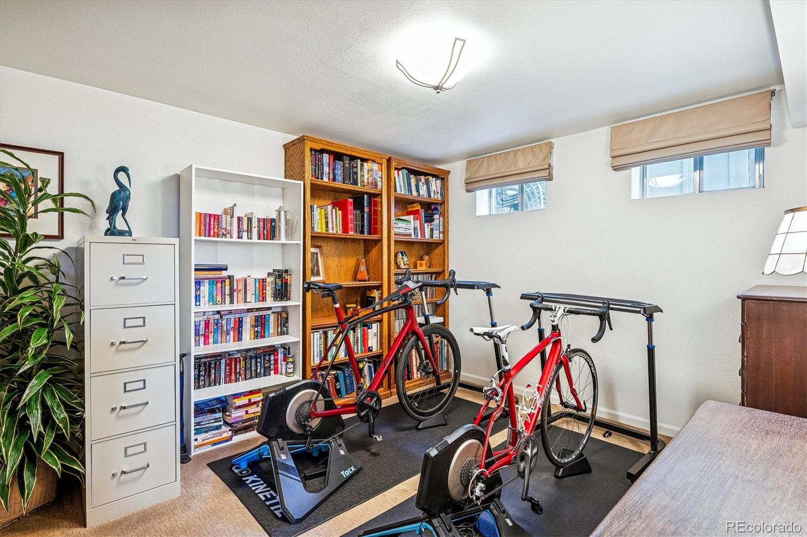 MLS Image #21 for 474 s balsam street,lakewood, Colorado