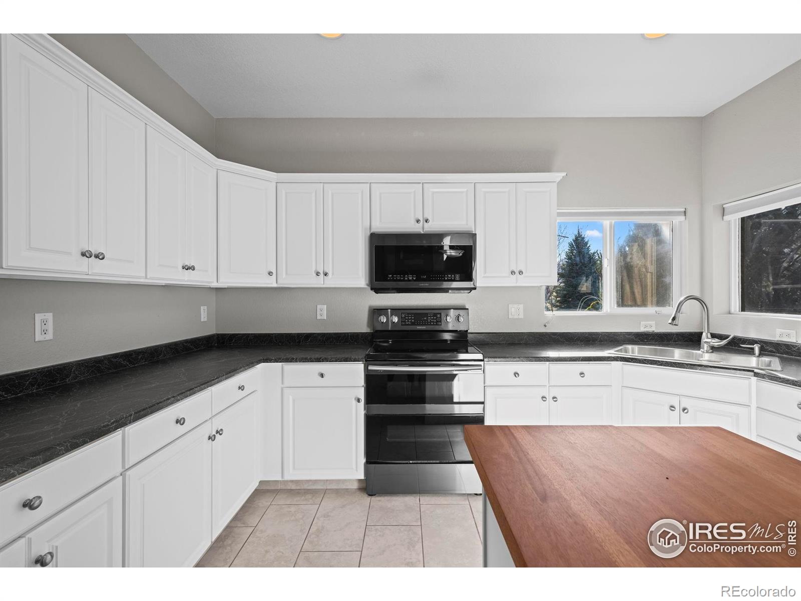 MLS Image #13 for 7681  crystal lake court,littleton, Colorado