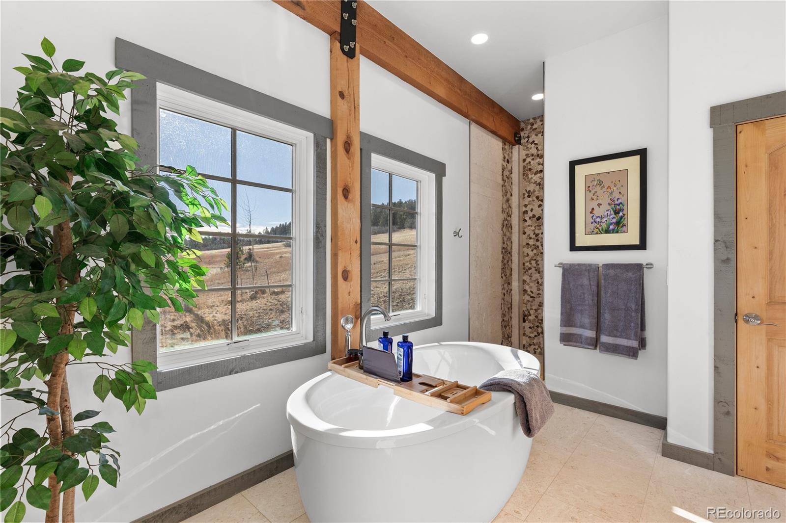 MLS Image #21 for 8191 s homesteader drive,morrison, Colorado