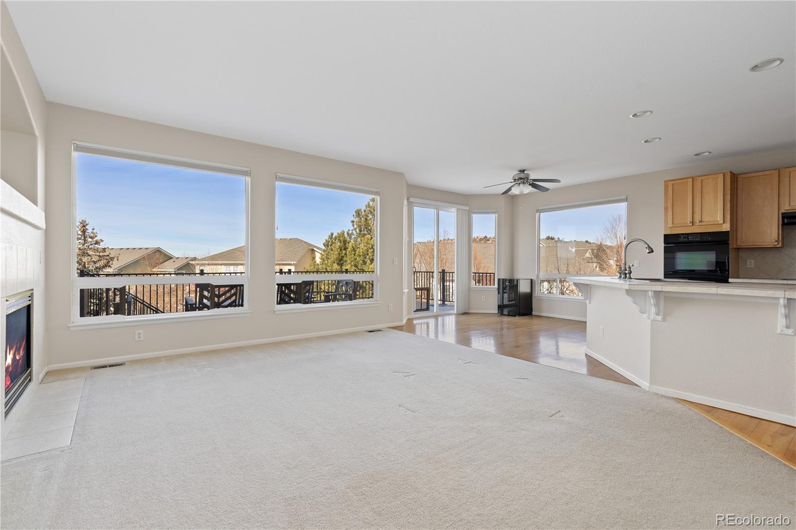 MLS Image #13 for 4133  black feather trail,castle rock, Colorado