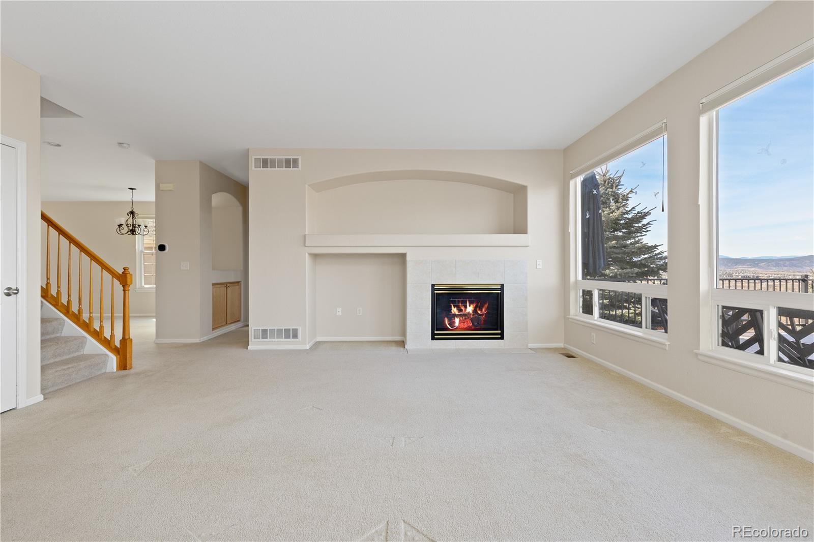 MLS Image #14 for 4133  black feather trail,castle rock, Colorado