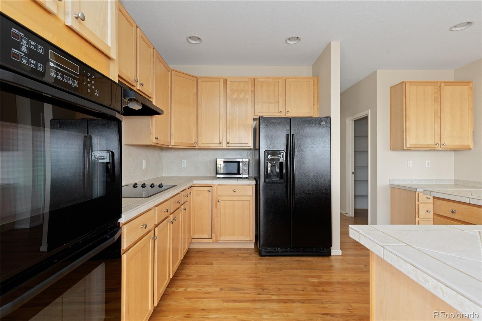 MLS Image #18 for 4133  black feather trail,castle rock, Colorado