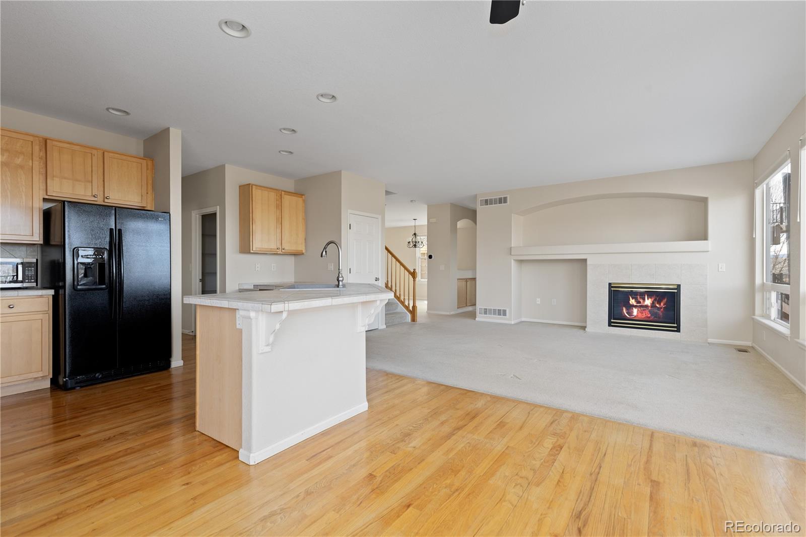 MLS Image #19 for 4133  black feather trail,castle rock, Colorado