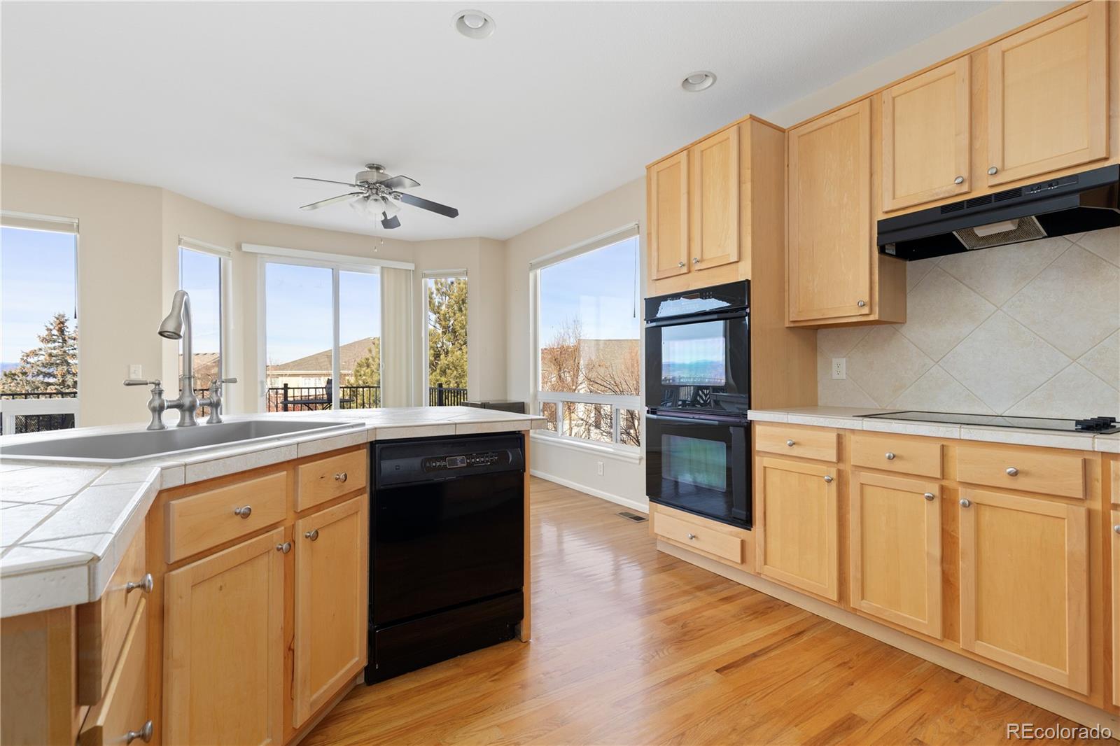 MLS Image #20 for 4133  black feather trail,castle rock, Colorado