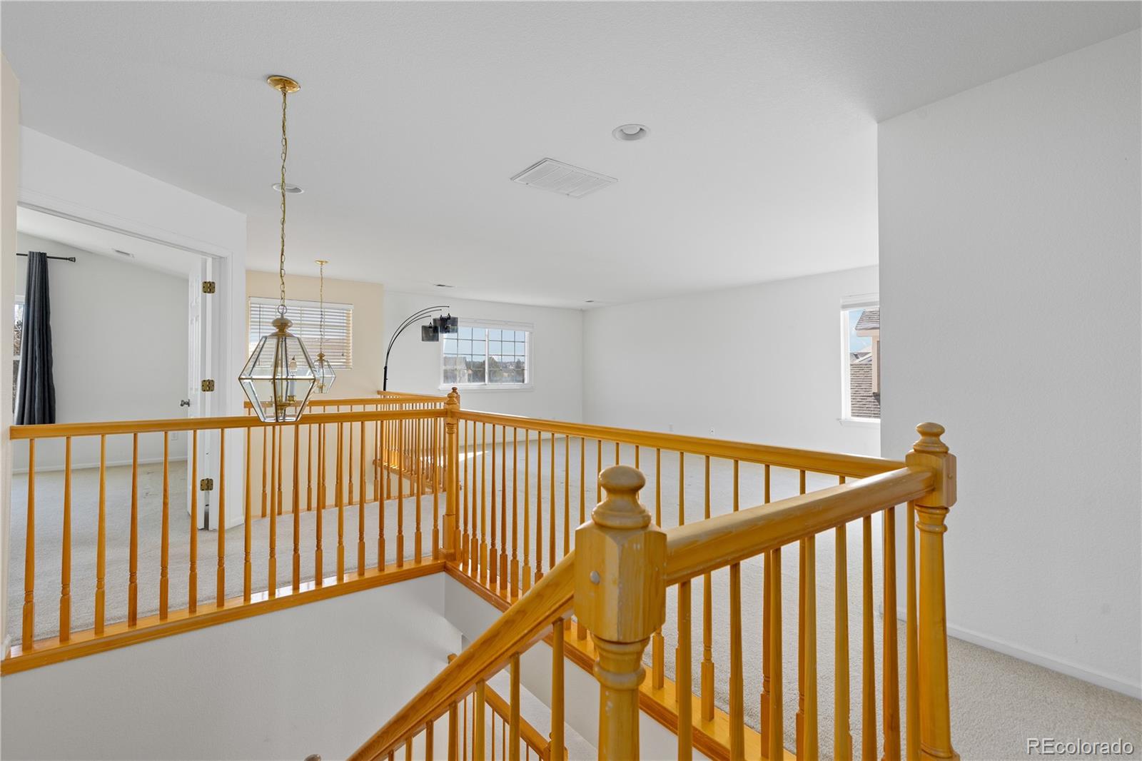 MLS Image #21 for 4133  black feather trail,castle rock, Colorado