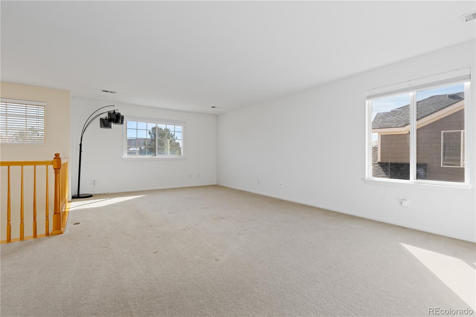MLS Image #22 for 4133  black feather trail,castle rock, Colorado