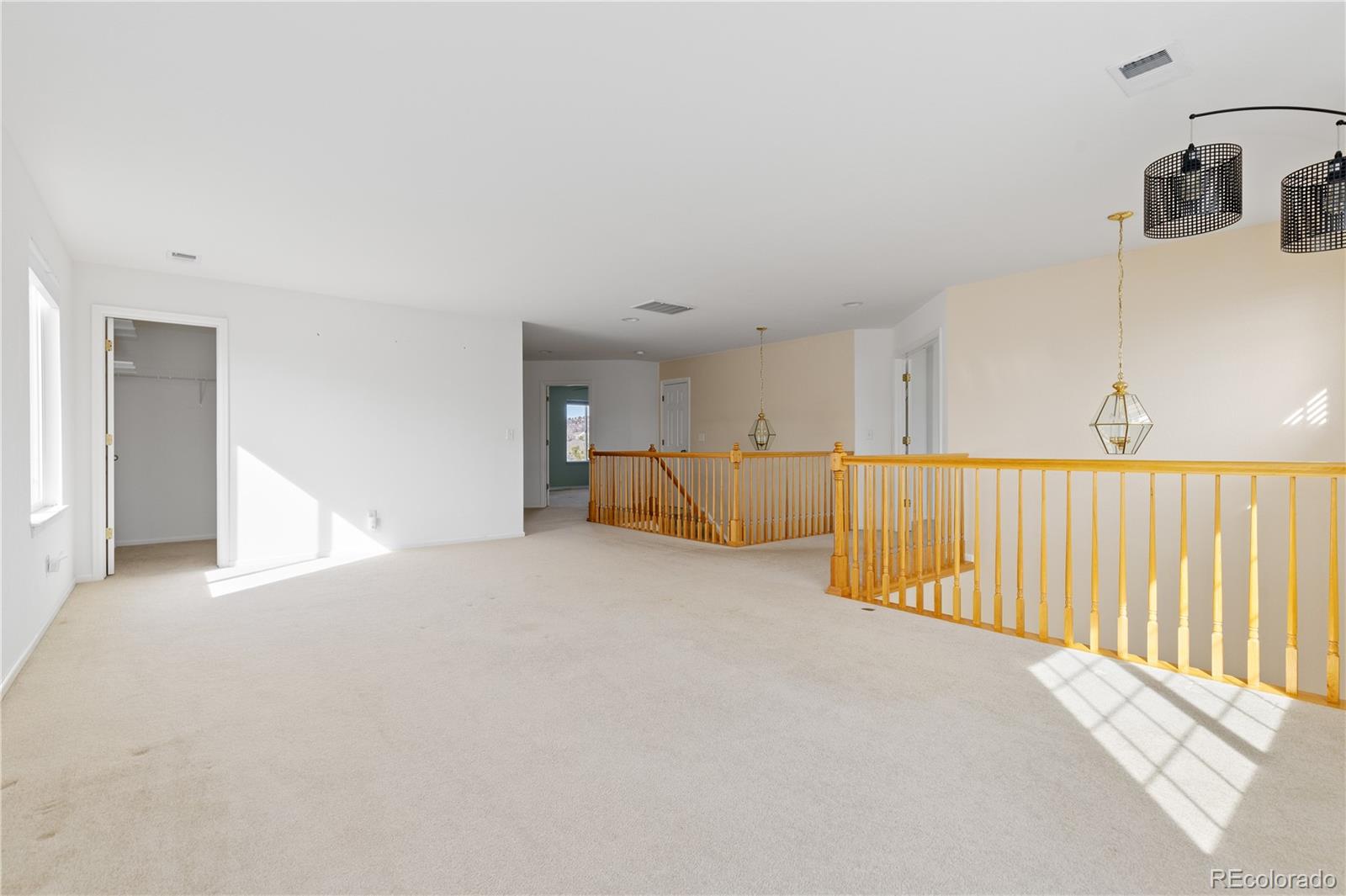 MLS Image #23 for 4133  black feather trail,castle rock, Colorado
