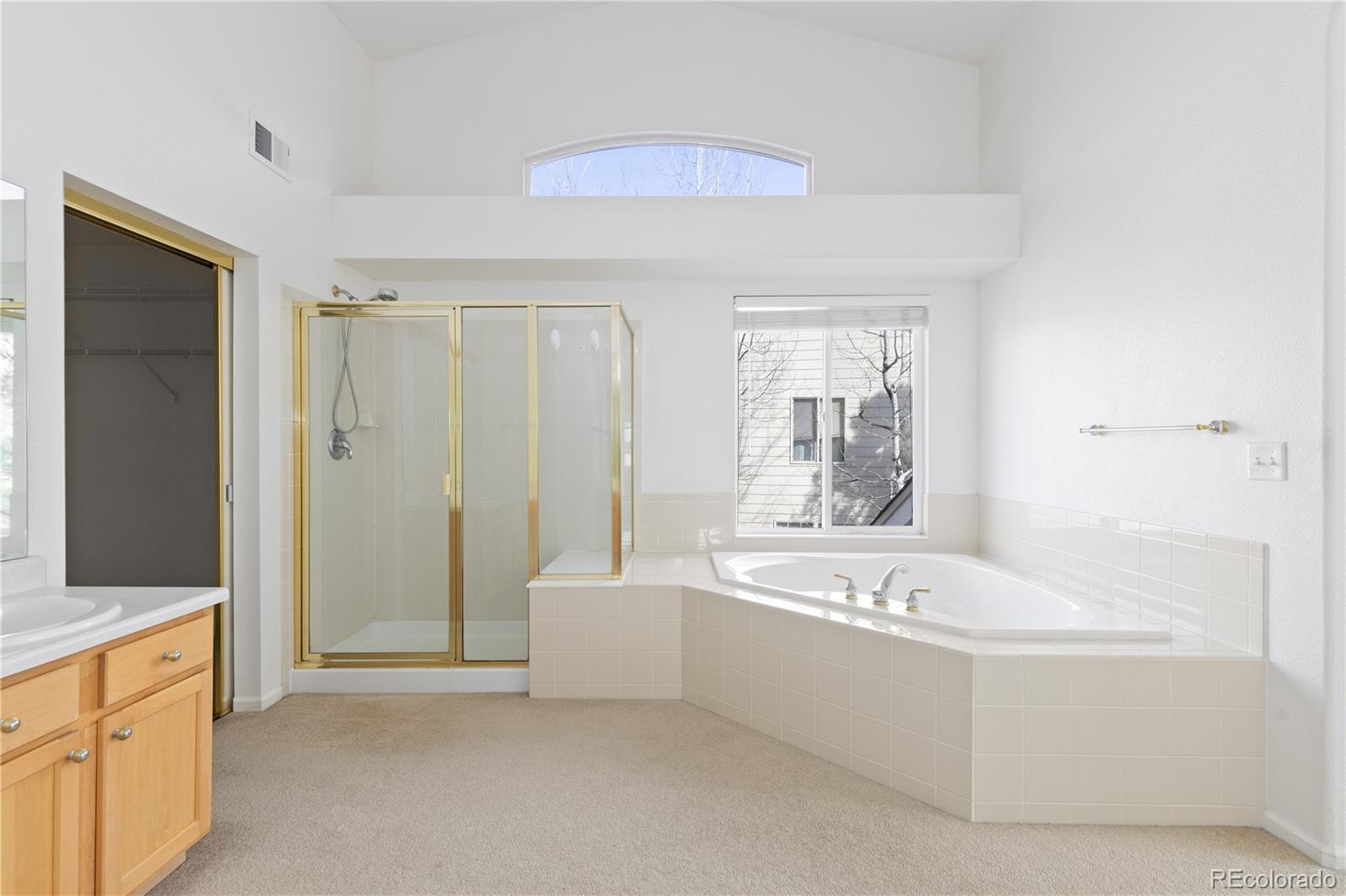 MLS Image #28 for 4133  black feather trail,castle rock, Colorado