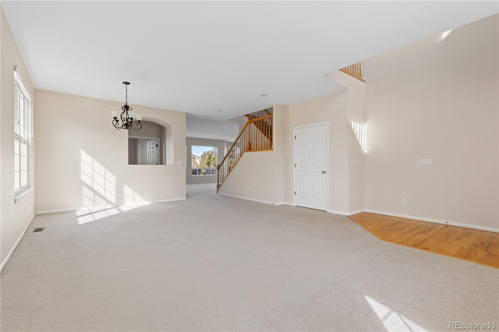 MLS Image #9 for 4133  black feather trail,castle rock, Colorado