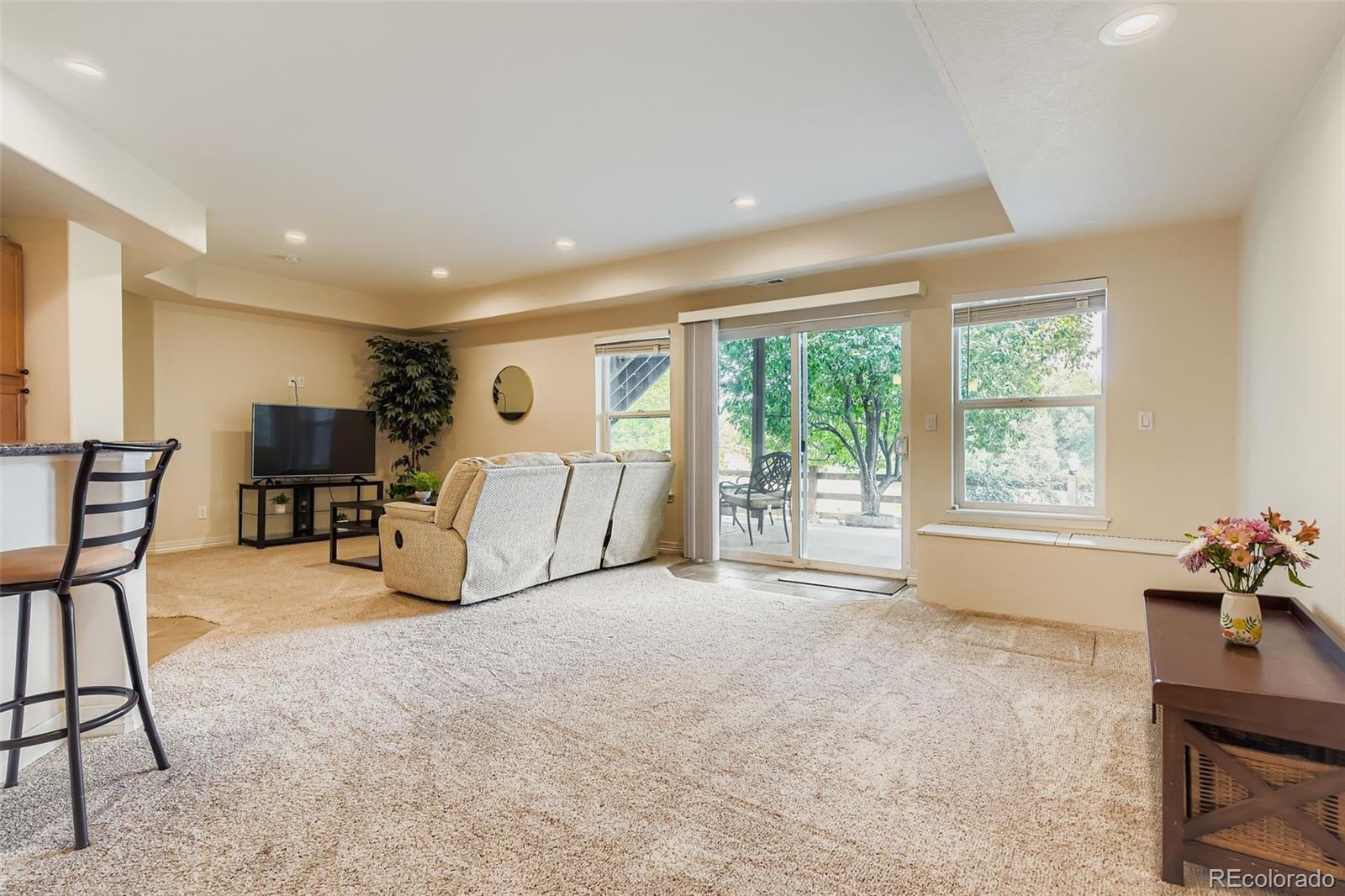 MLS Image #18 for 6526 s benton court,littleton, Colorado