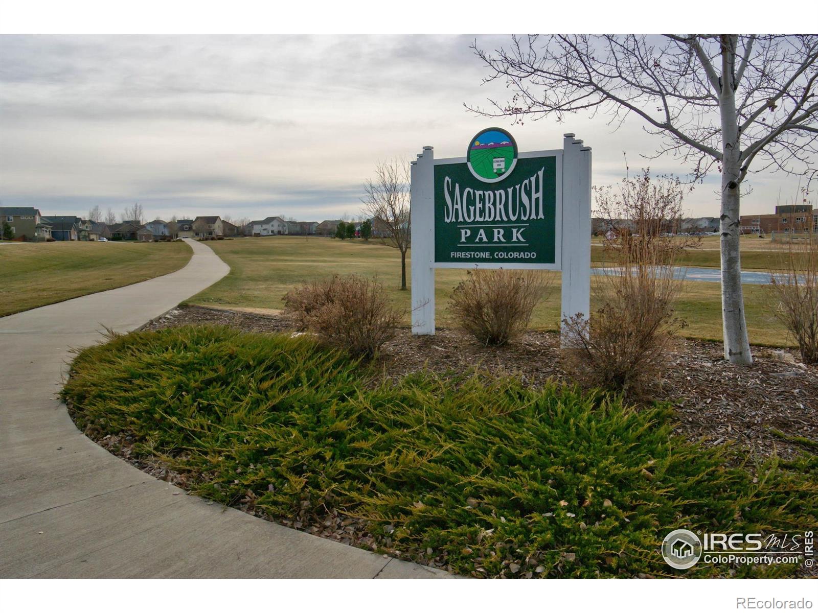MLS Image #41 for 6513  tilbury avenue,firestone, Colorado