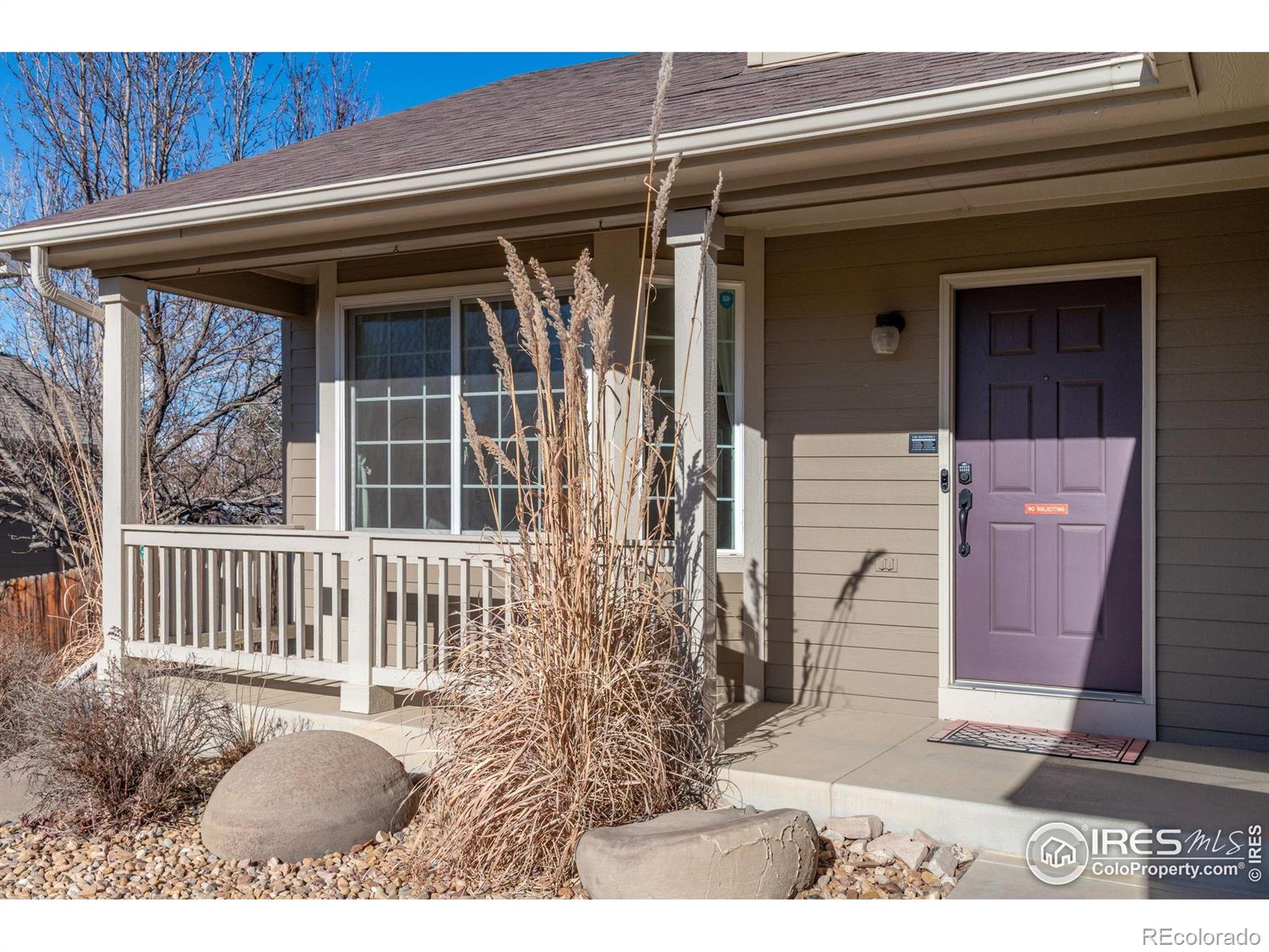 MLS Image #6 for 6513  tilbury avenue,firestone, Colorado