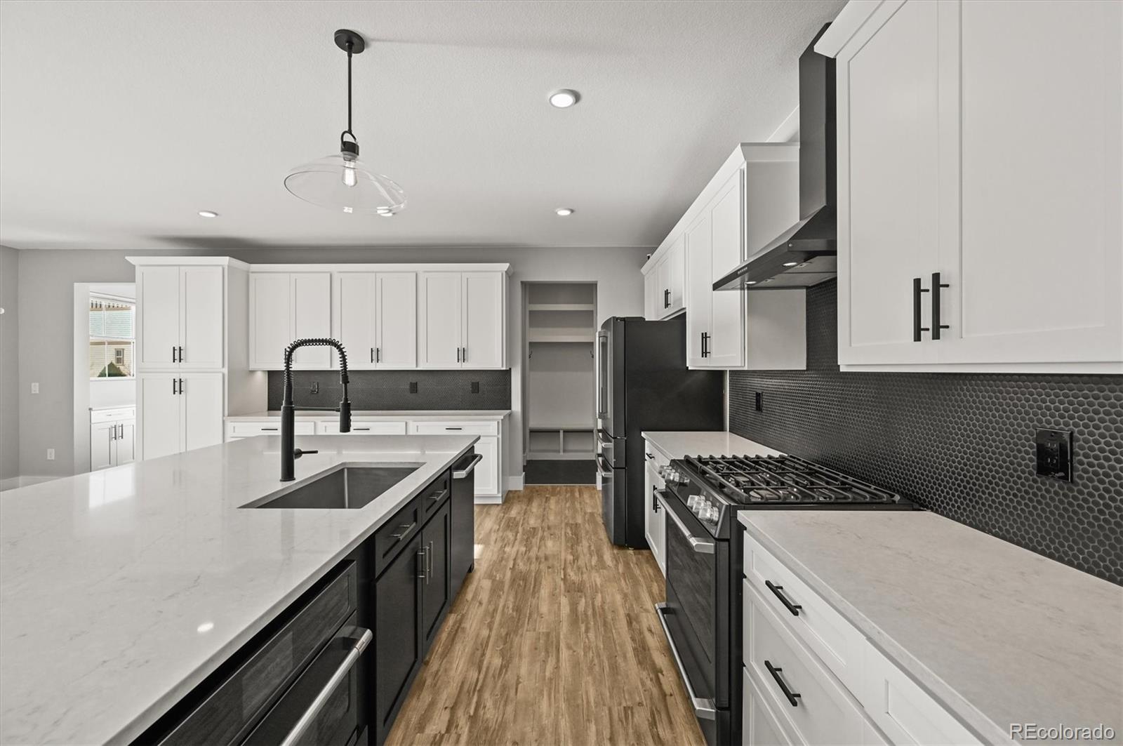 MLS Image #10 for 8376  basalt drive,littleton, Colorado