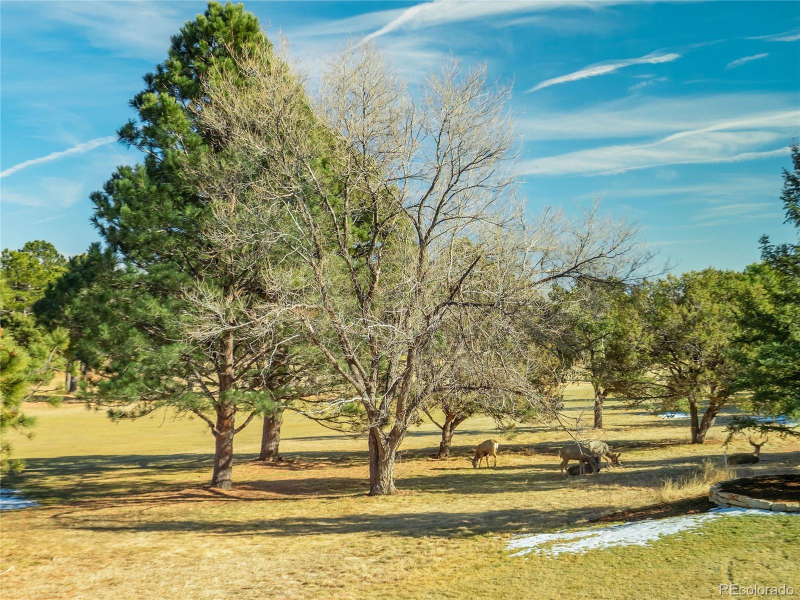 MLS Image #45 for 3655  camel grove,colorado springs, Colorado