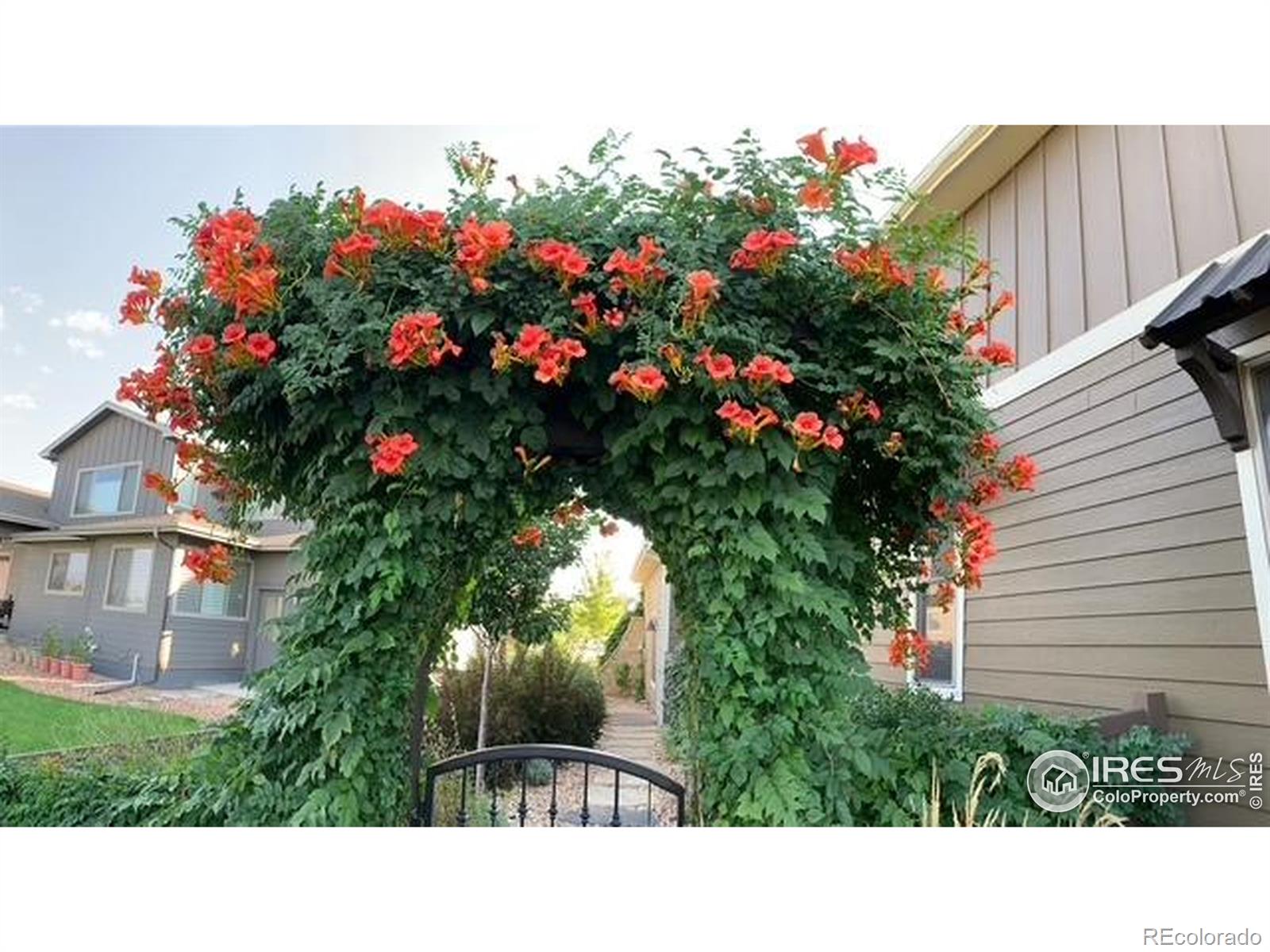 MLS Image #33 for 4238  lemon grass drive,johnstown, Colorado