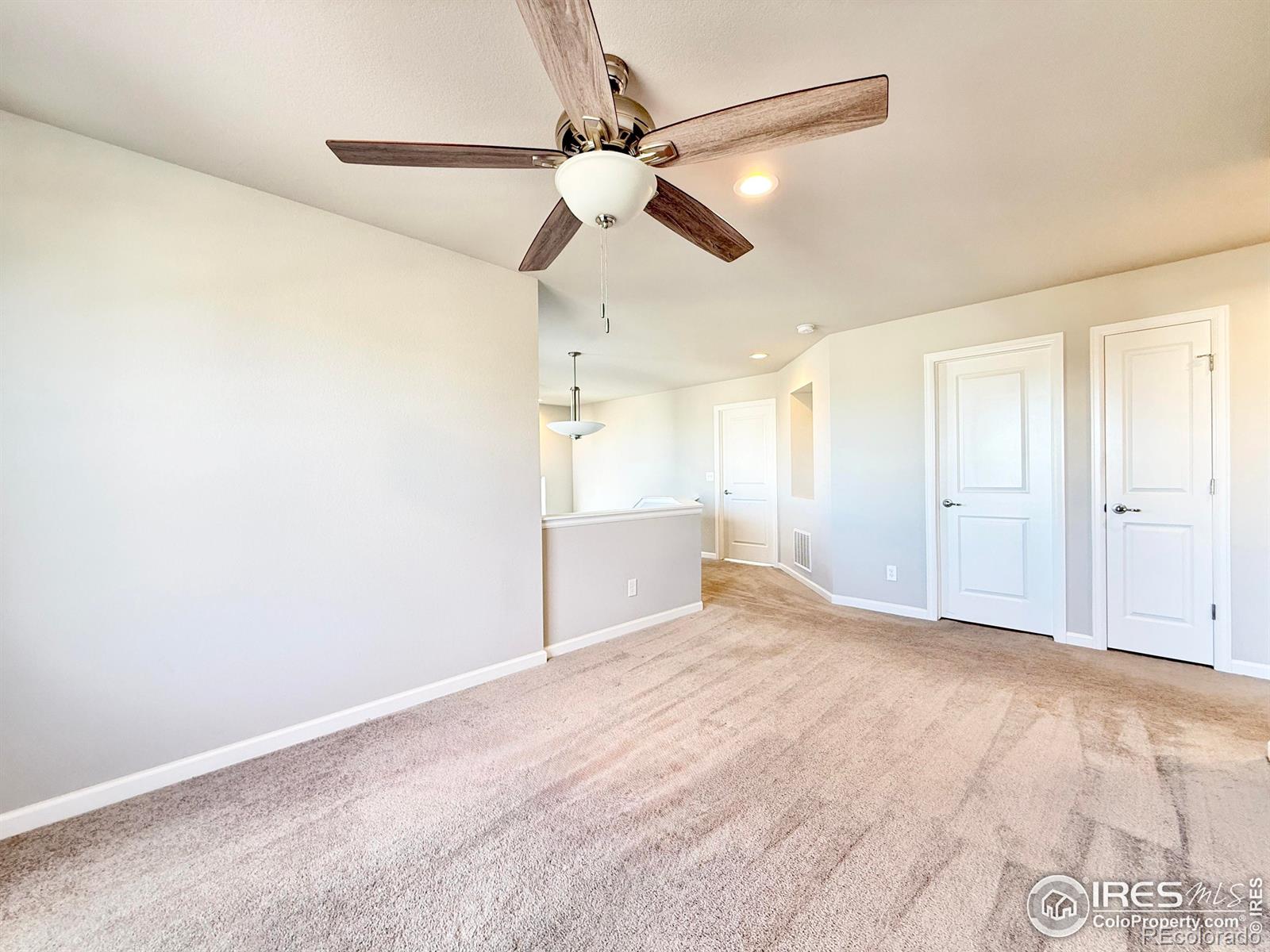 MLS Image #10 for 533  grand market avenue,berthoud, Colorado