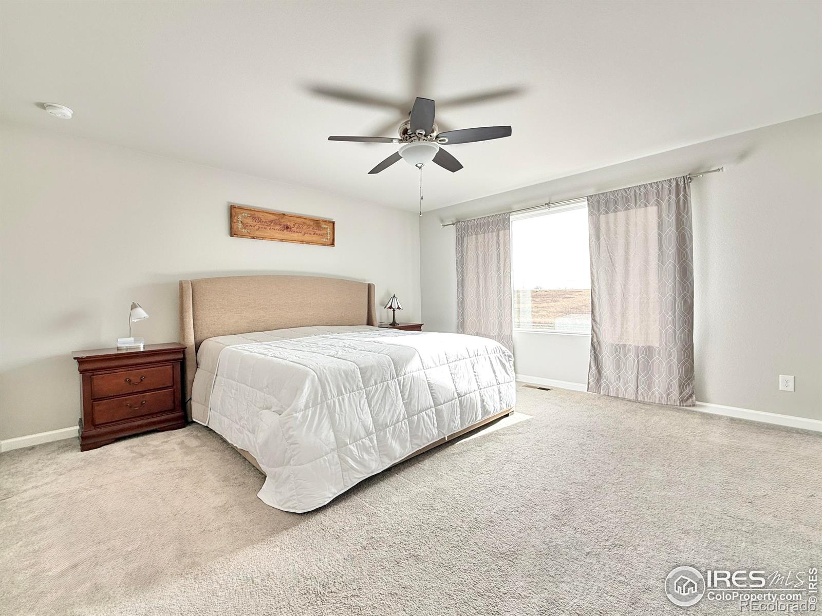 MLS Image #11 for 533  grand market avenue,berthoud, Colorado