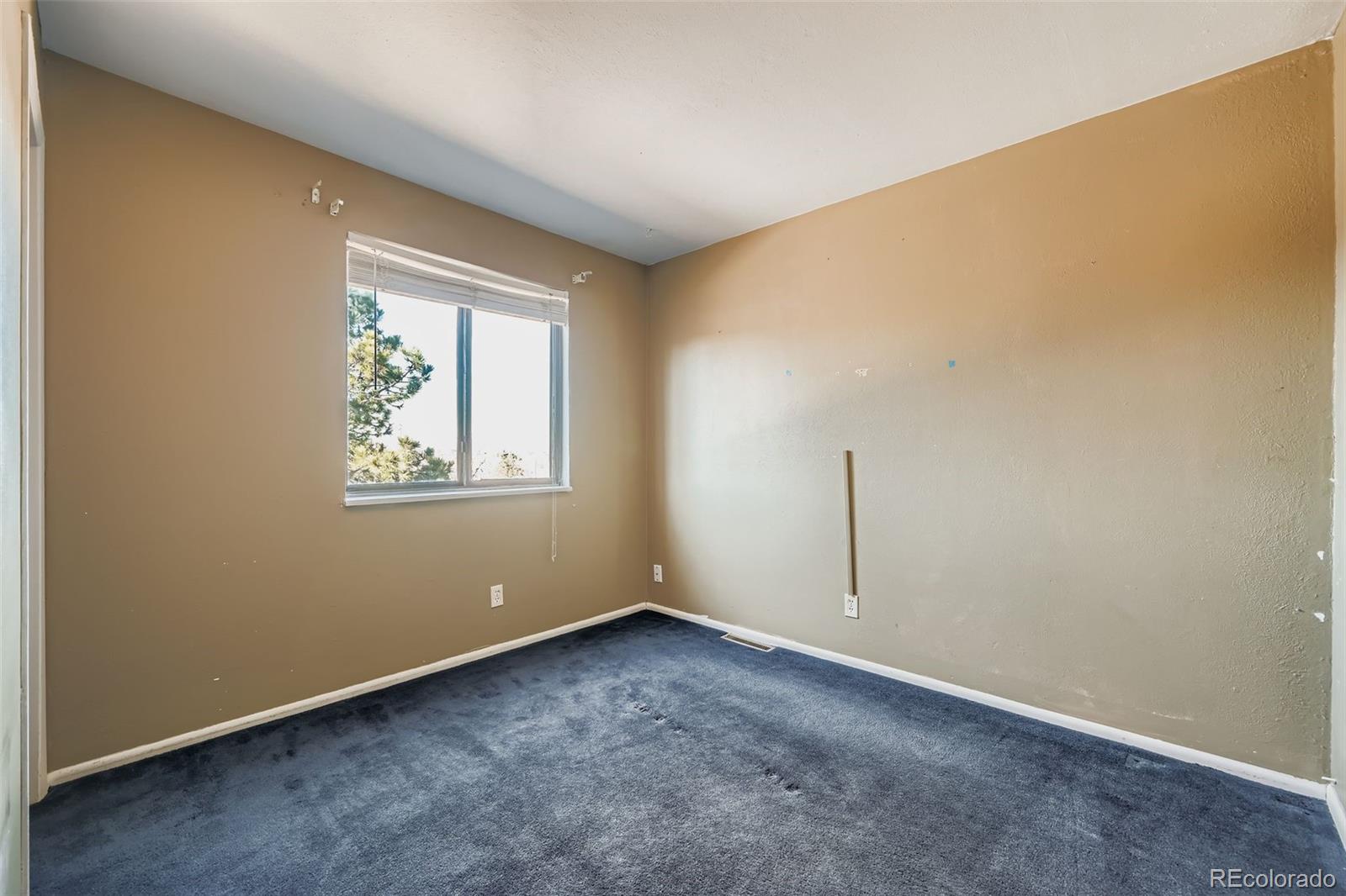 MLS Image #10 for 4005 s pitkin way,aurora, Colorado