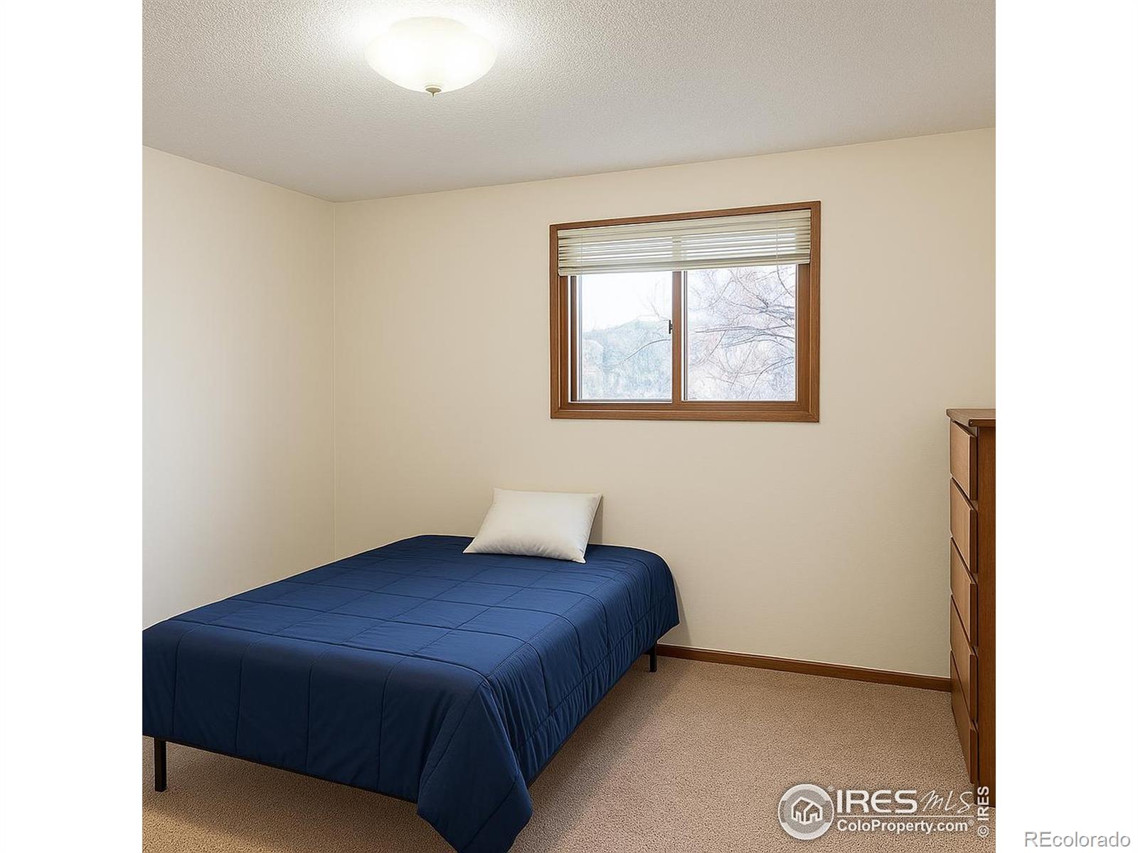 MLS Image #10 for 630  peach tree place,loveland, Colorado