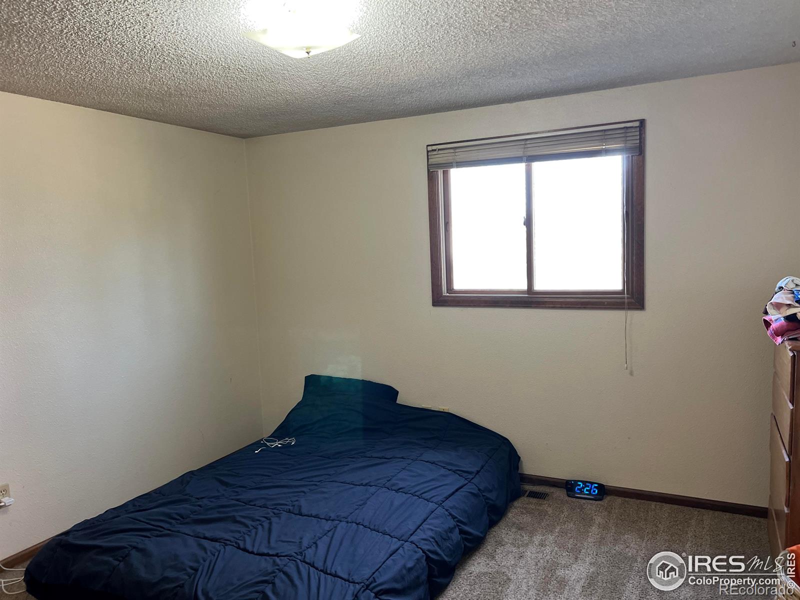 MLS Image #11 for 630  peach tree place,loveland, Colorado