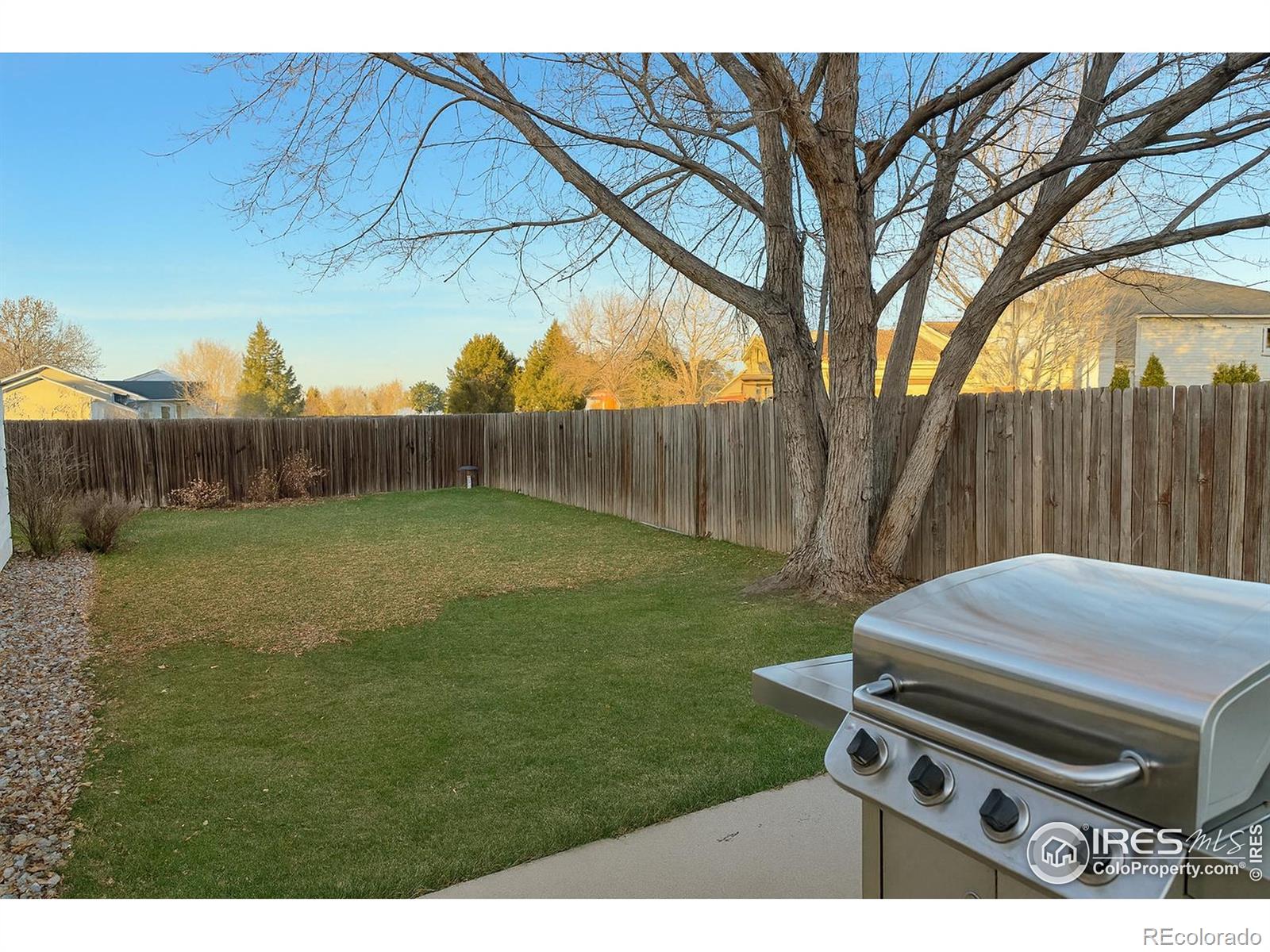 MLS Image #14 for 630  peach tree place,loveland, Colorado