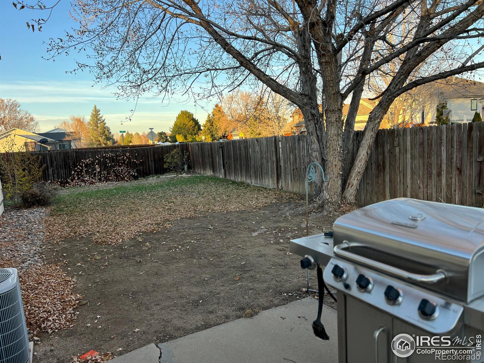 MLS Image #15 for 630  peach tree place,loveland, Colorado