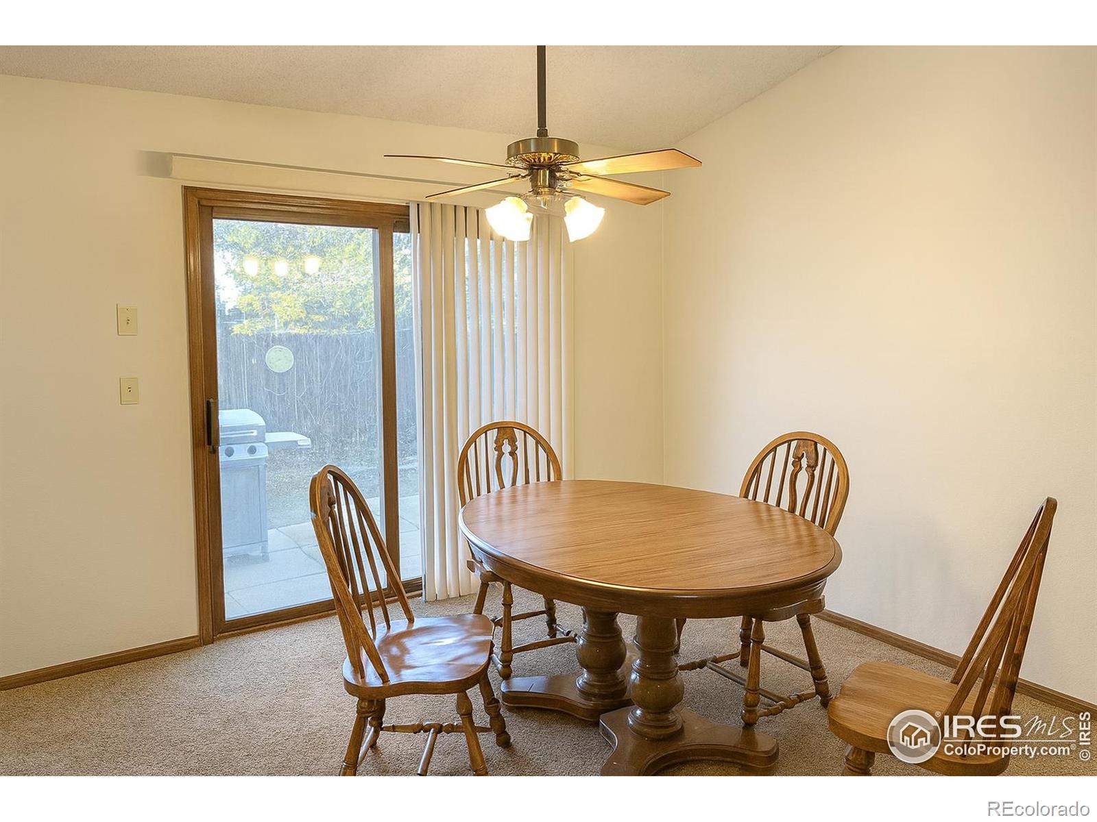 MLS Image #6 for 630  peach tree place,loveland, Colorado