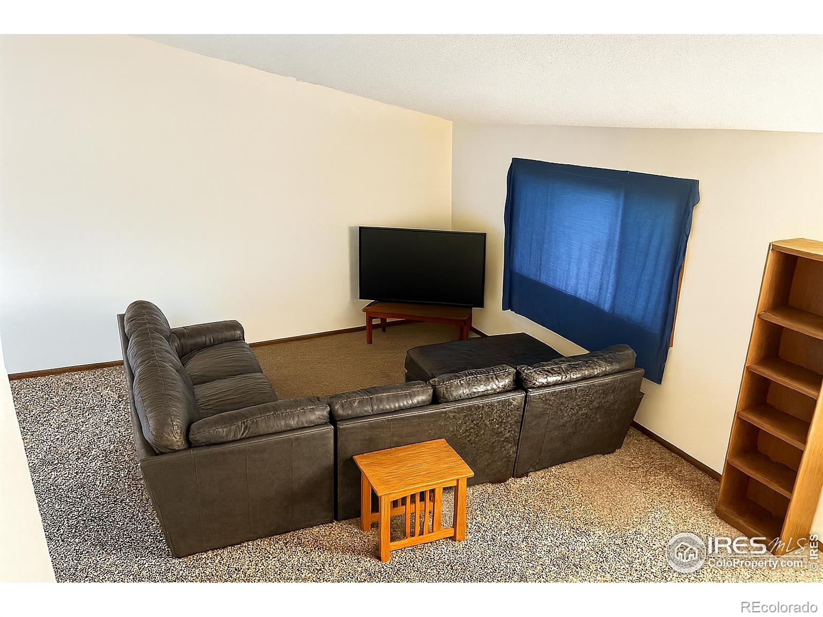 MLS Image #8 for 630  peach tree place,loveland, Colorado