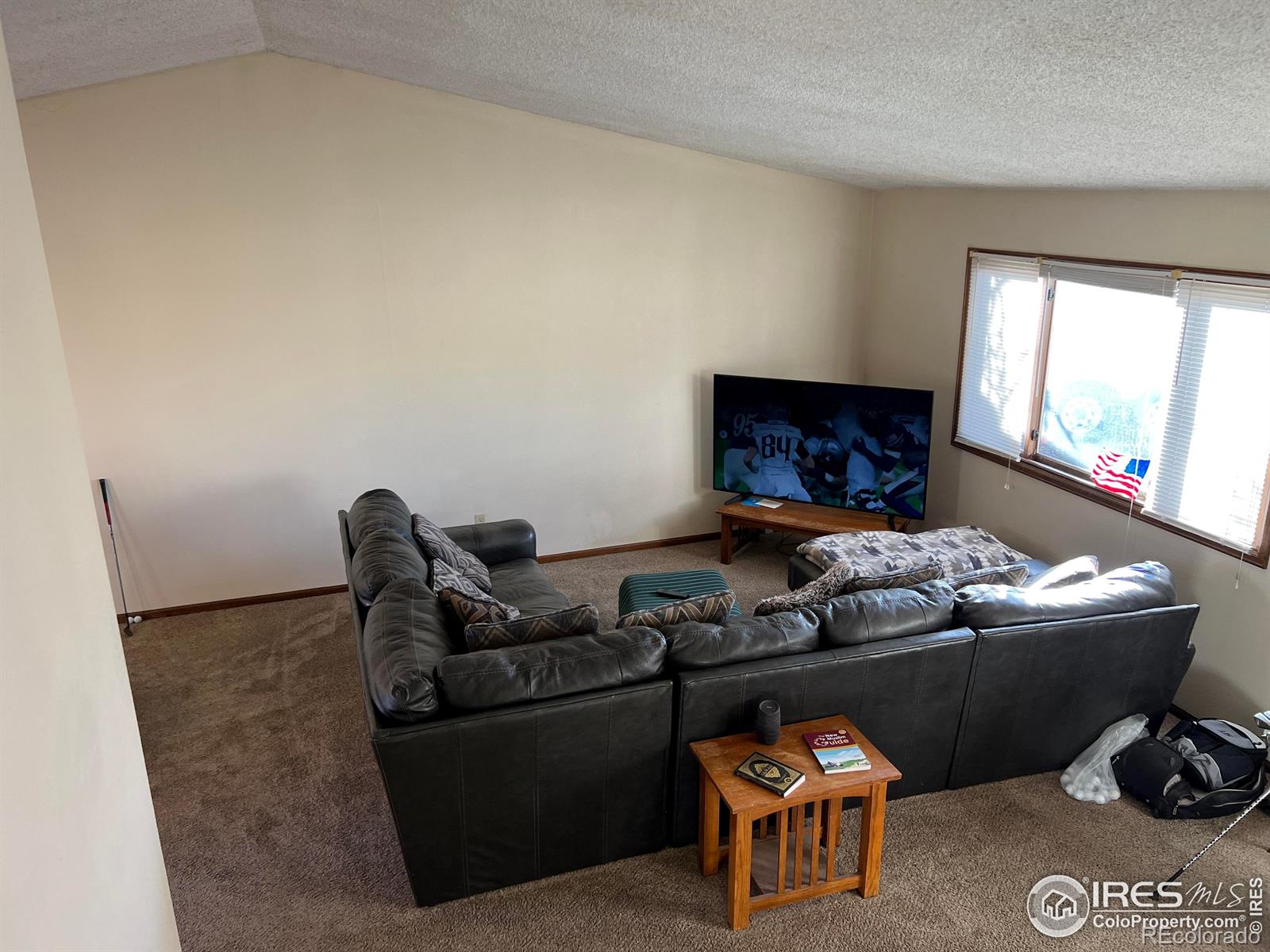 MLS Image #9 for 630  peach tree place,loveland, Colorado